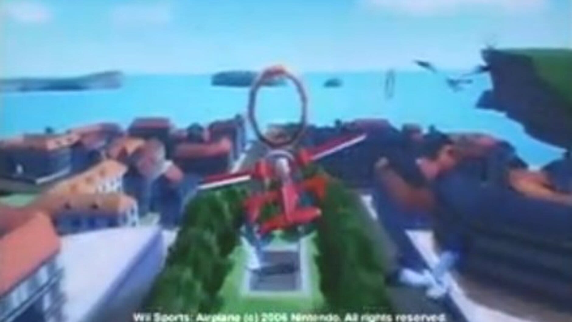 Screenshot for Wii Sports: Airplane
