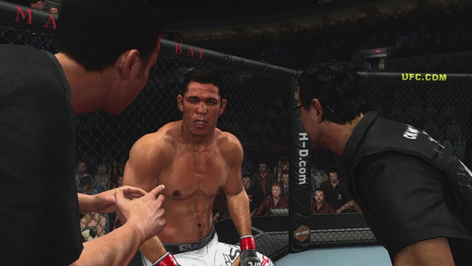 Screenshot for UFC 2009 Undisputed