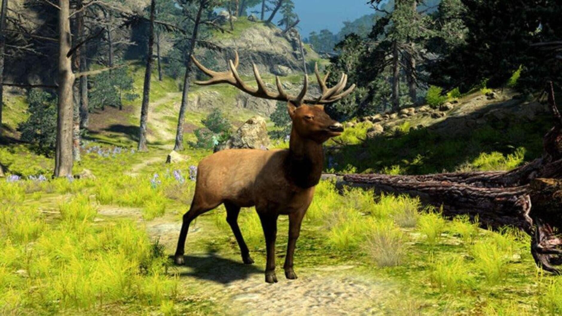Screenshot for Cabela's Big Game Hunter 2010