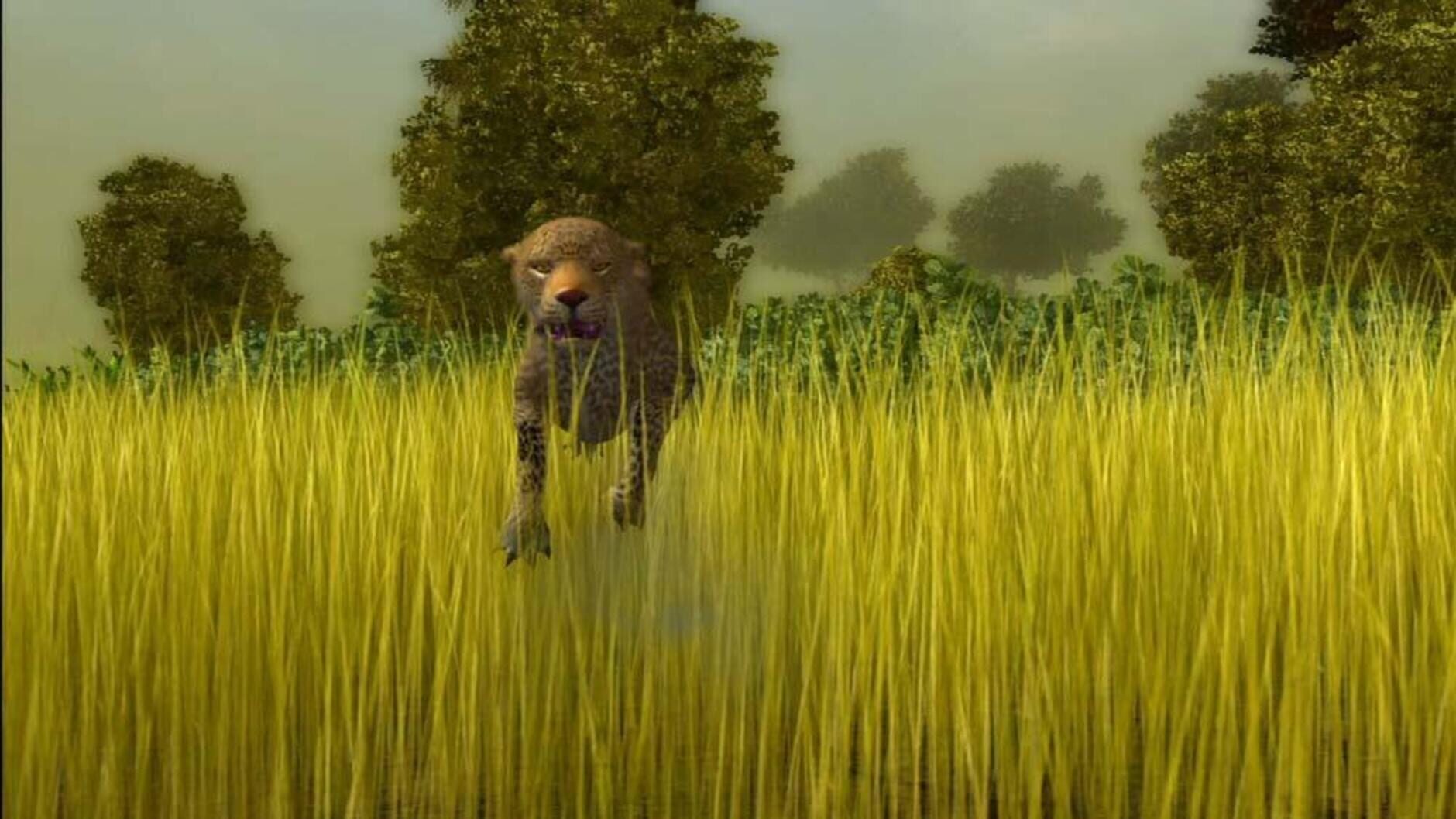 Screenshot for Cabela's African Safari