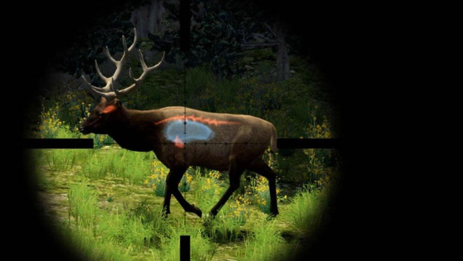 Screenshot for Cabela's Big Game Hunter 2010