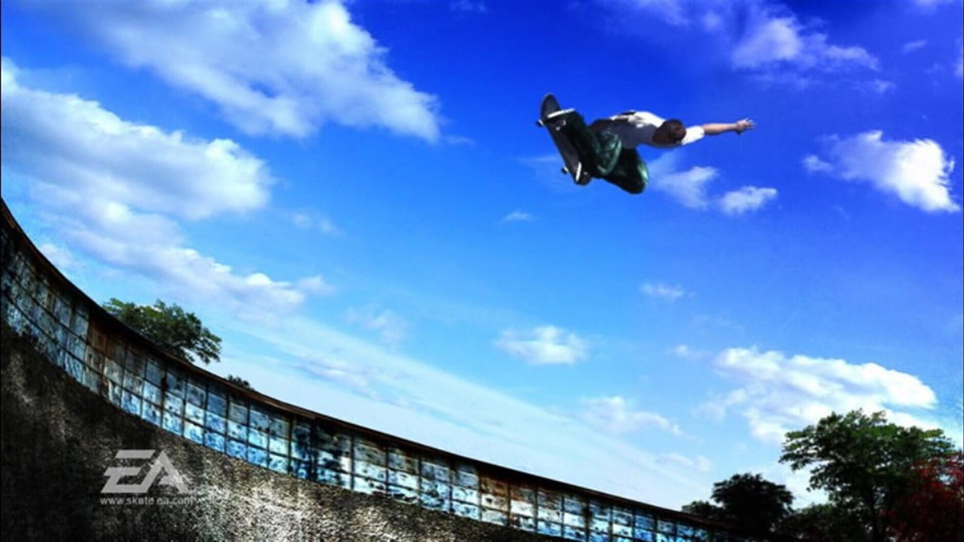 Screenshot for Skate