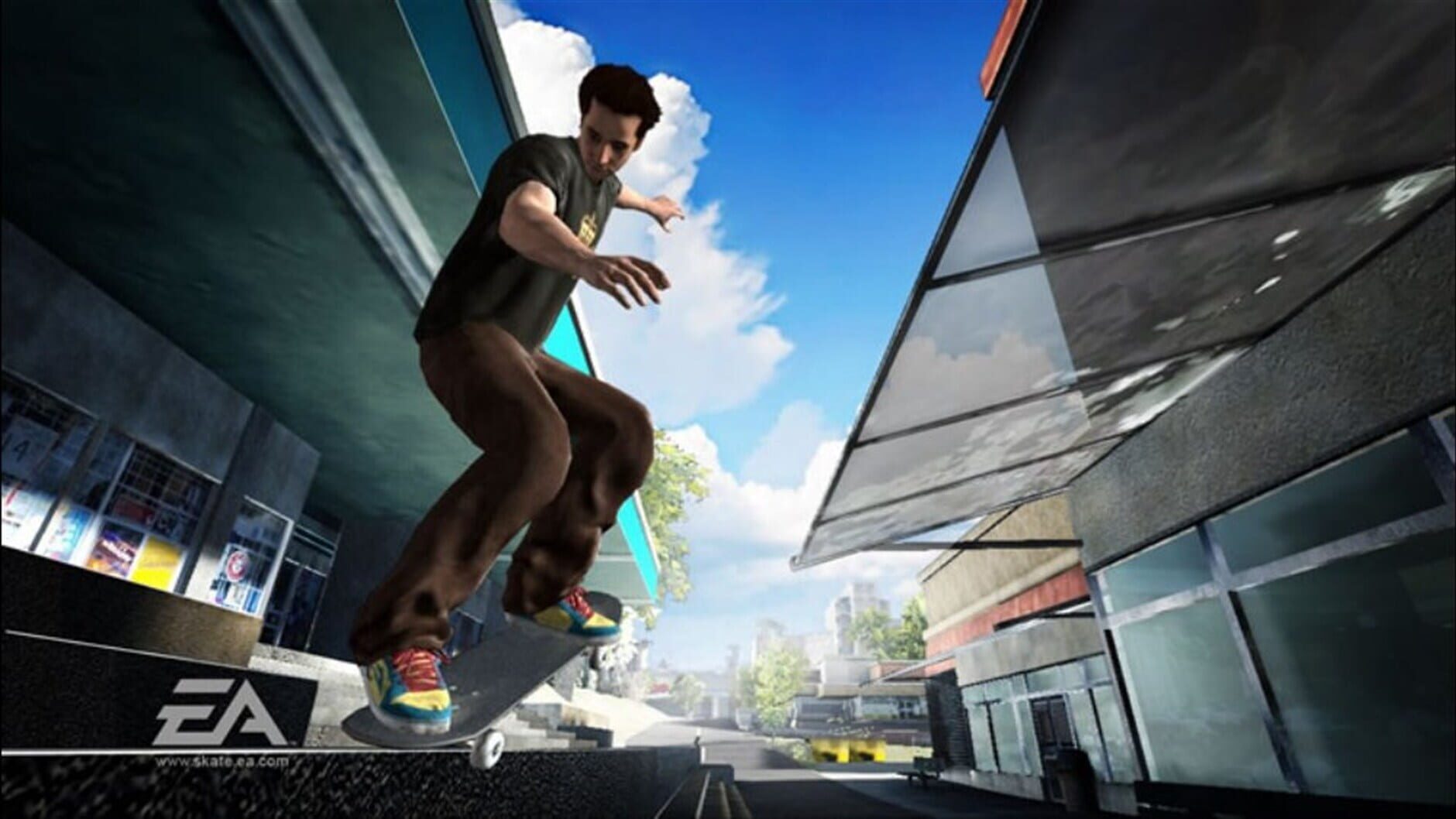 Screenshot for Skate