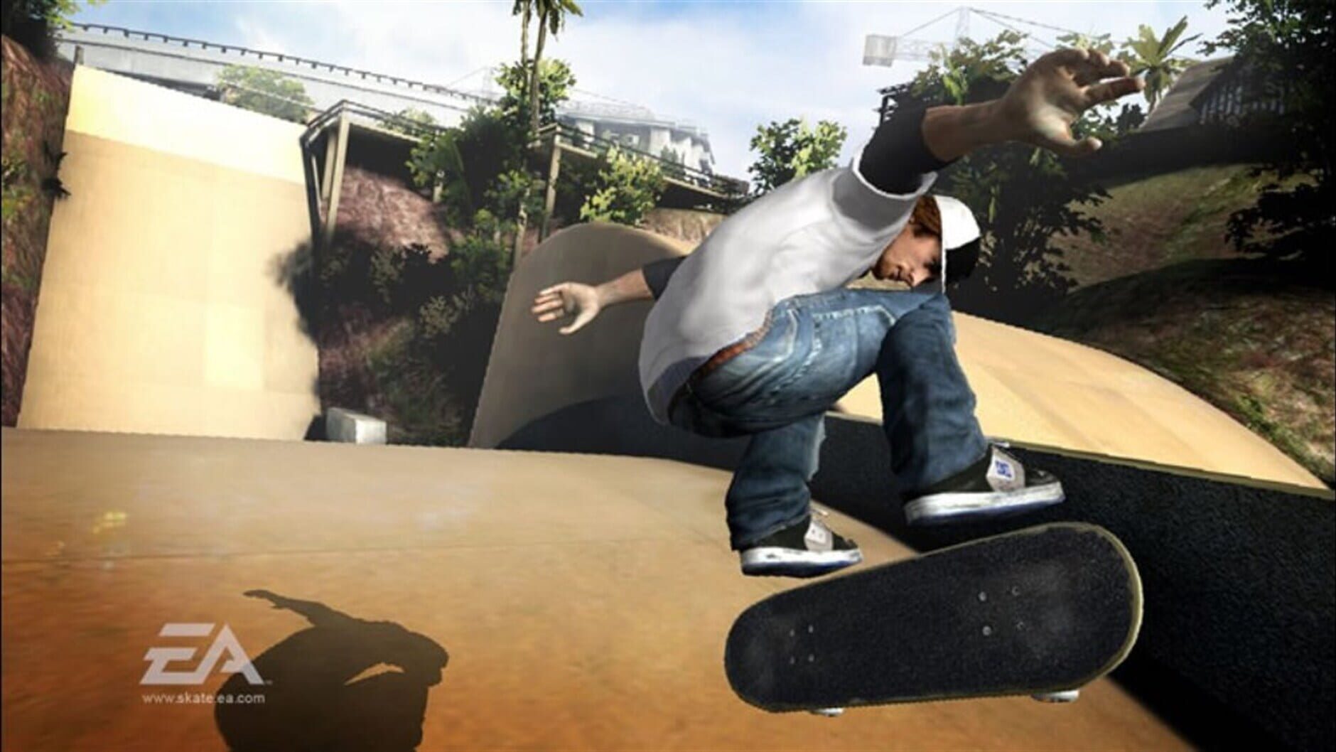 Screenshot for Skate