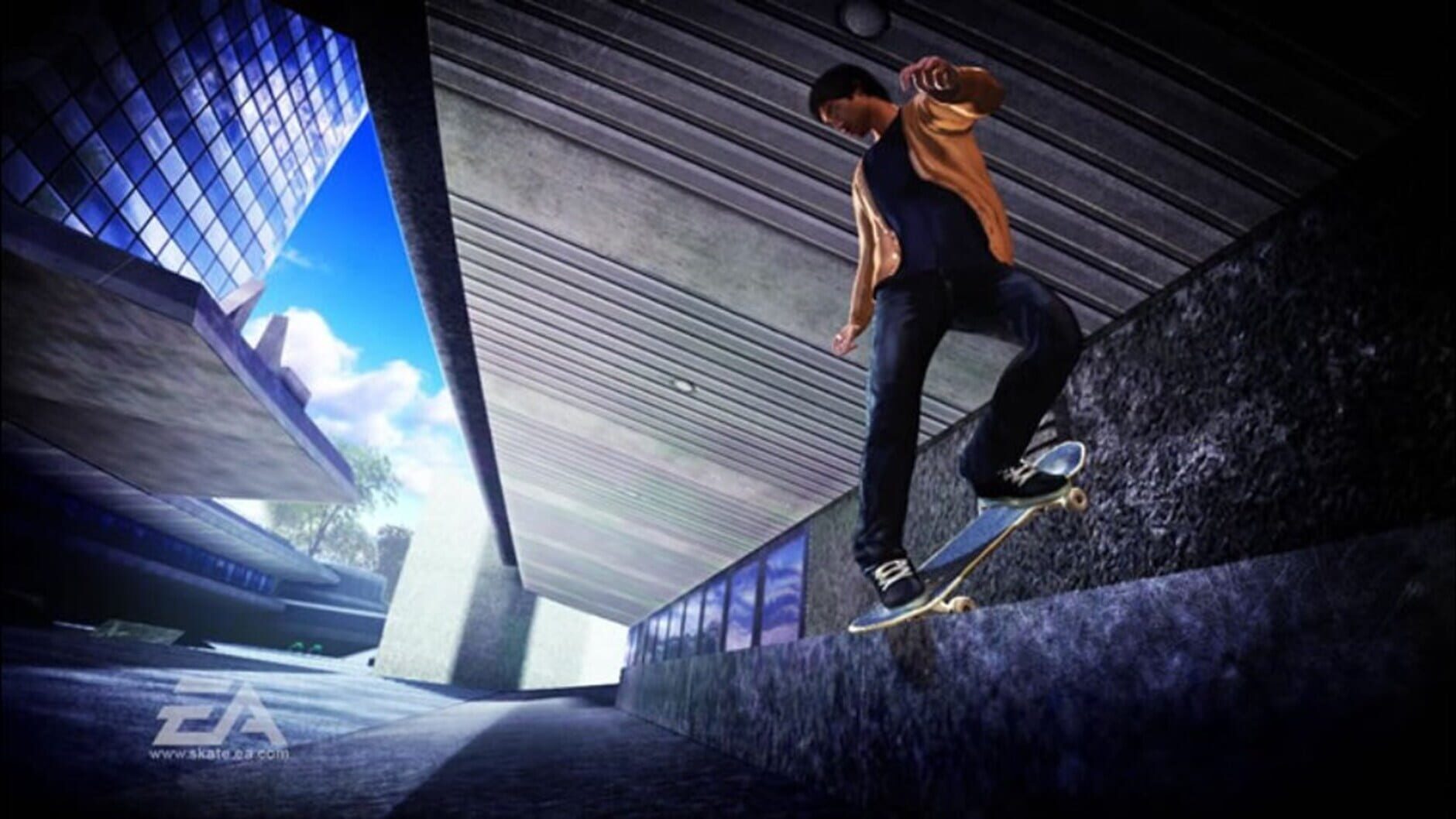 Screenshot for Skate