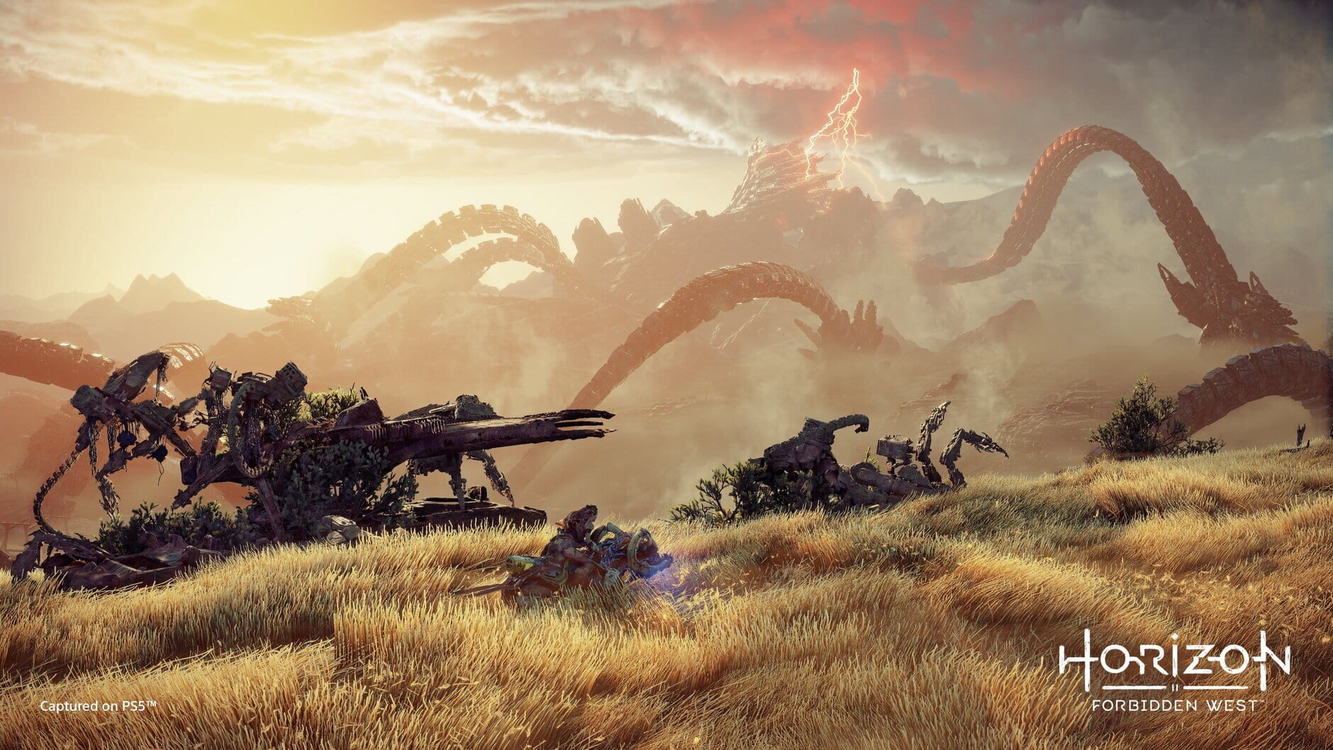 Screenshot for Horizon Forbidden West: Special Edition
