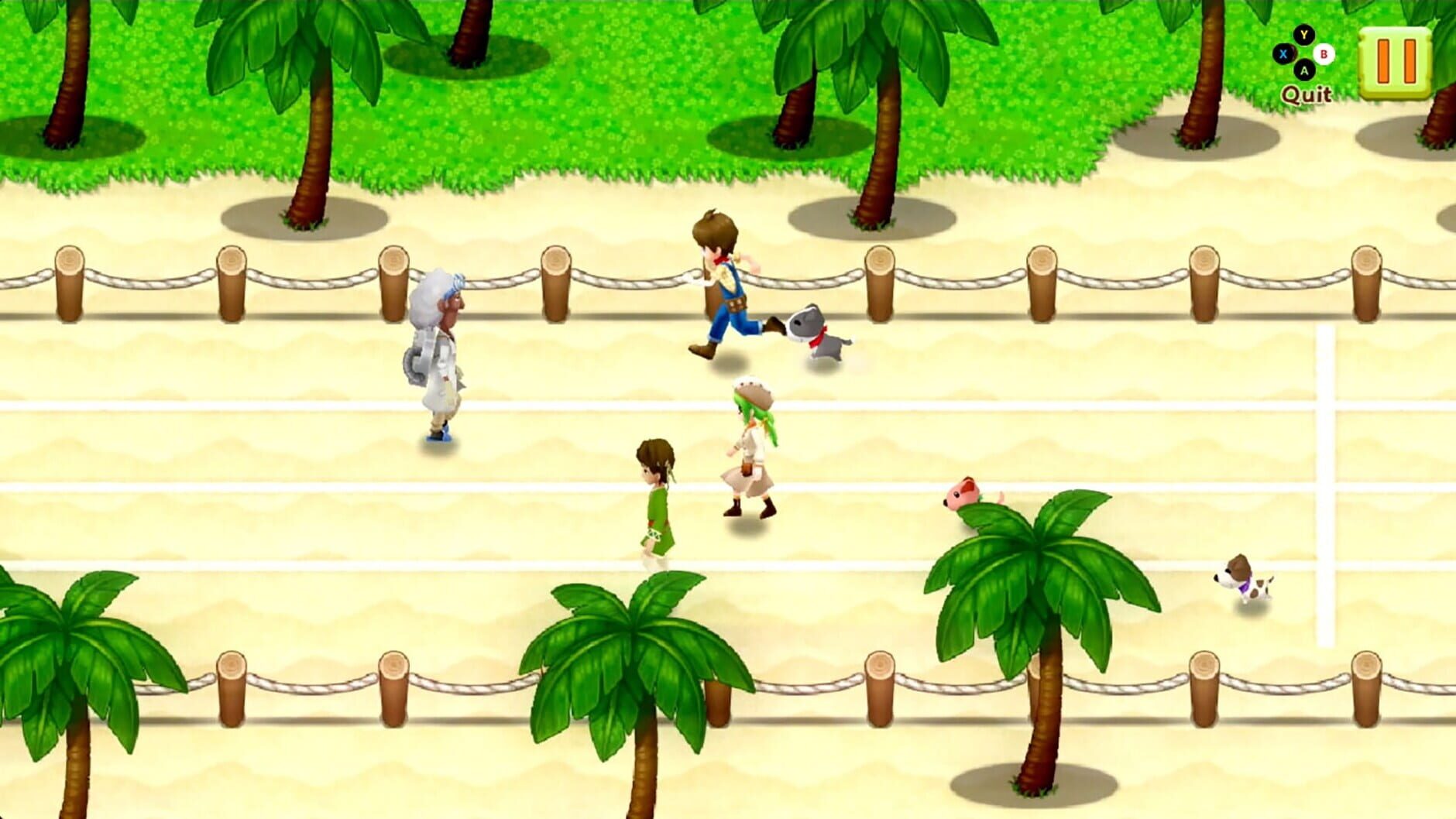 Screenshot for Harvest Moon: Light of Hope - Complete Special Edition