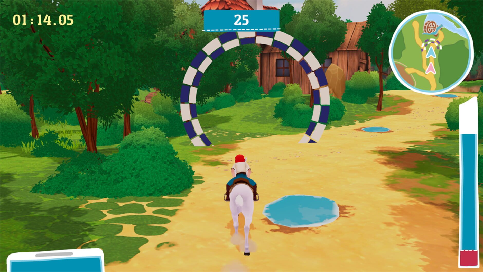 Screenshot for Bibi & Tina: New Adventures with Horses