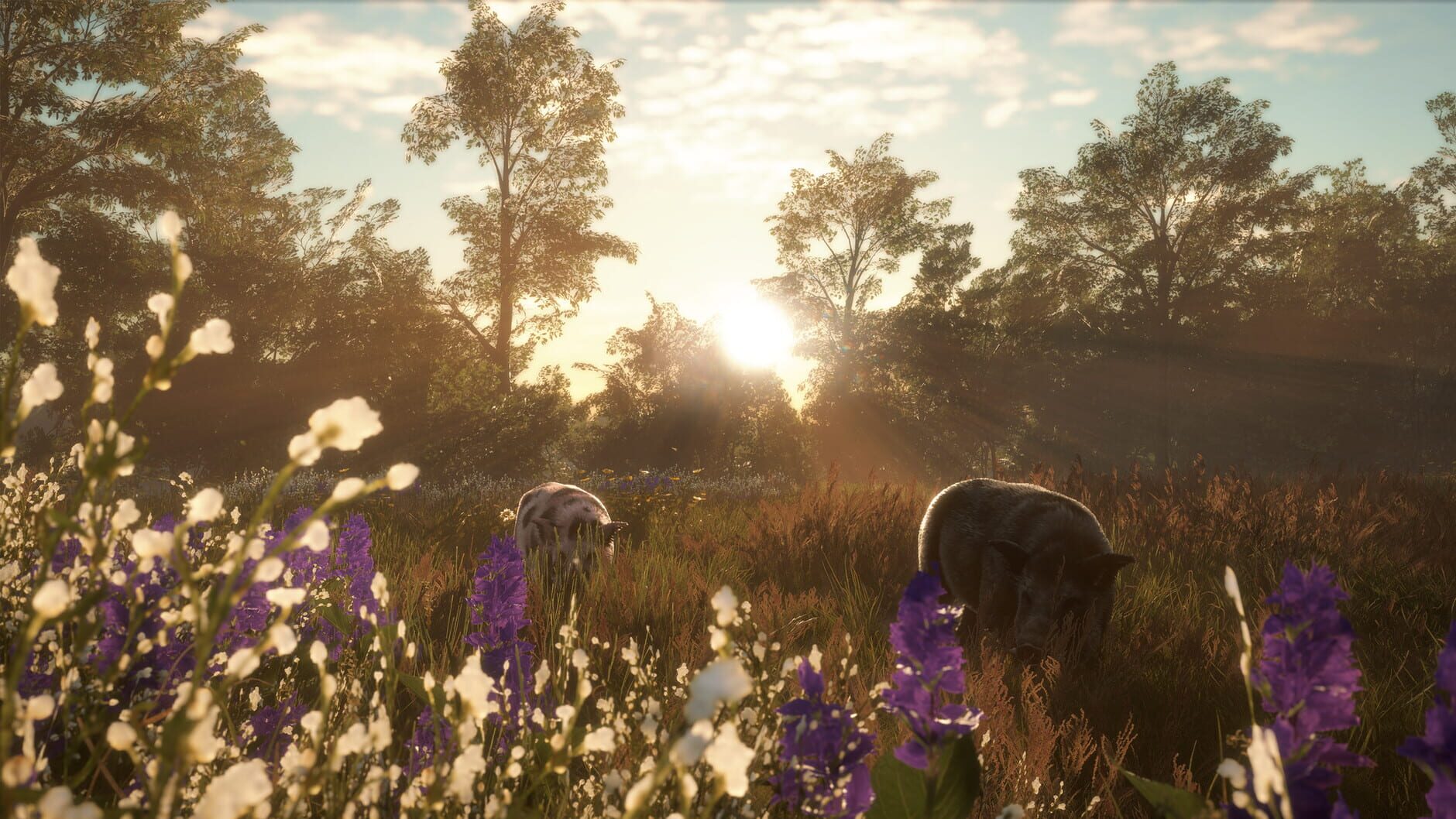 Screenshot for TheHunter: Call of the Wild - Mississippi Acres Preserve