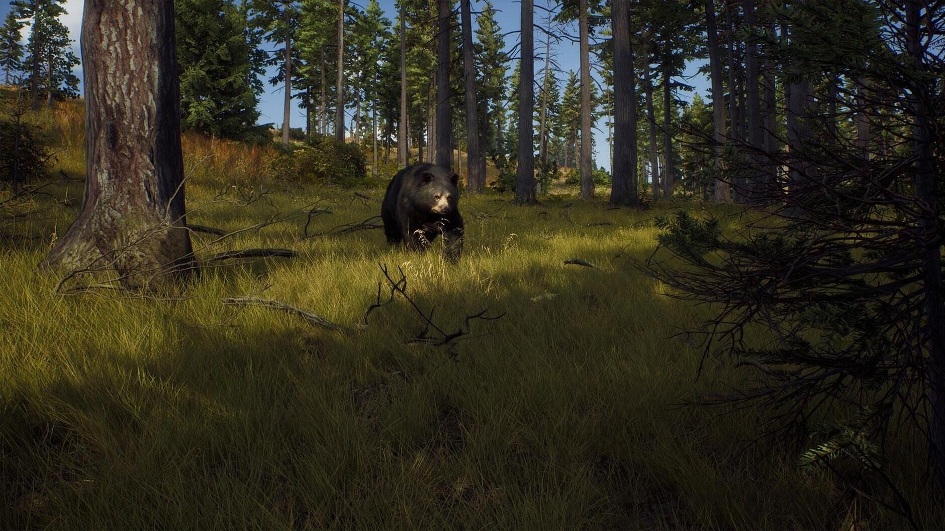 Screenshot for Way of the Hunter