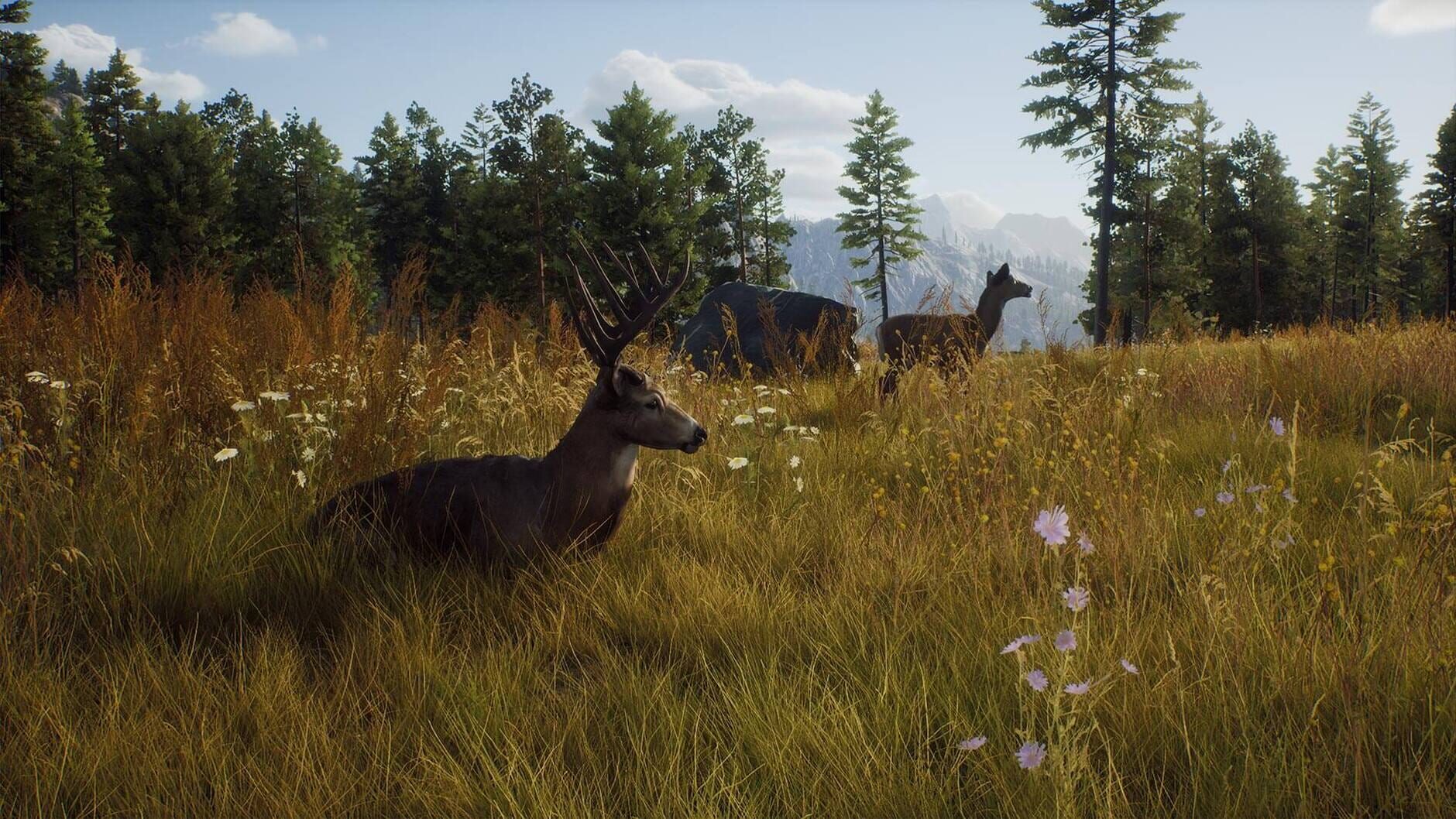 Screenshot for Way of the Hunter
