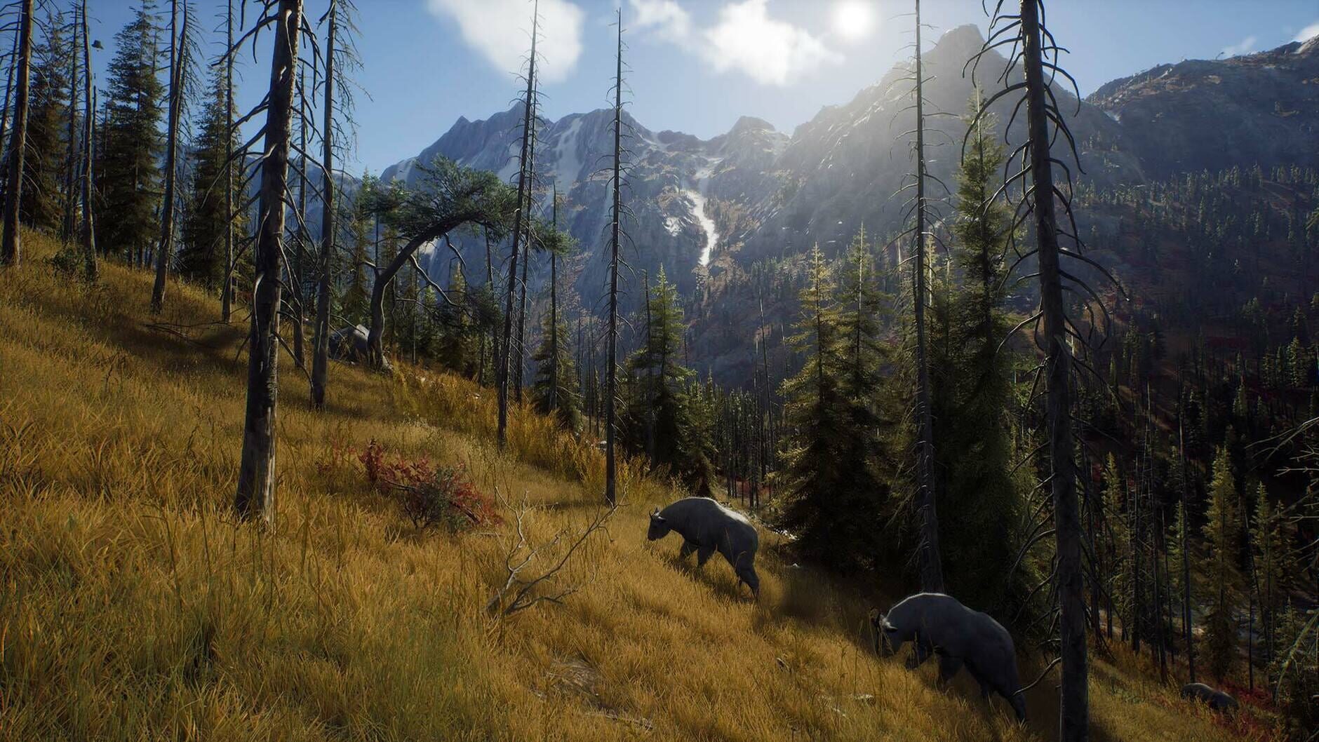 Screenshot for Way of the Hunter