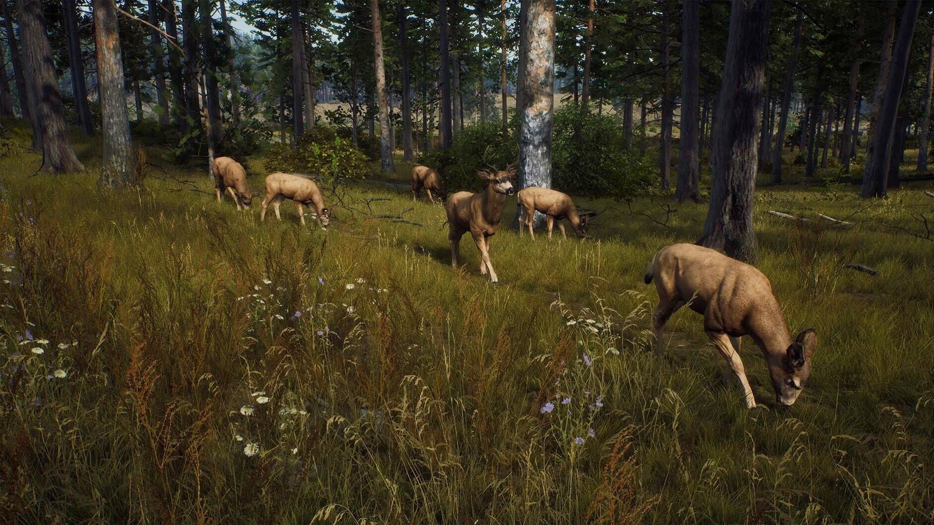 Screenshot for Way of the Hunter