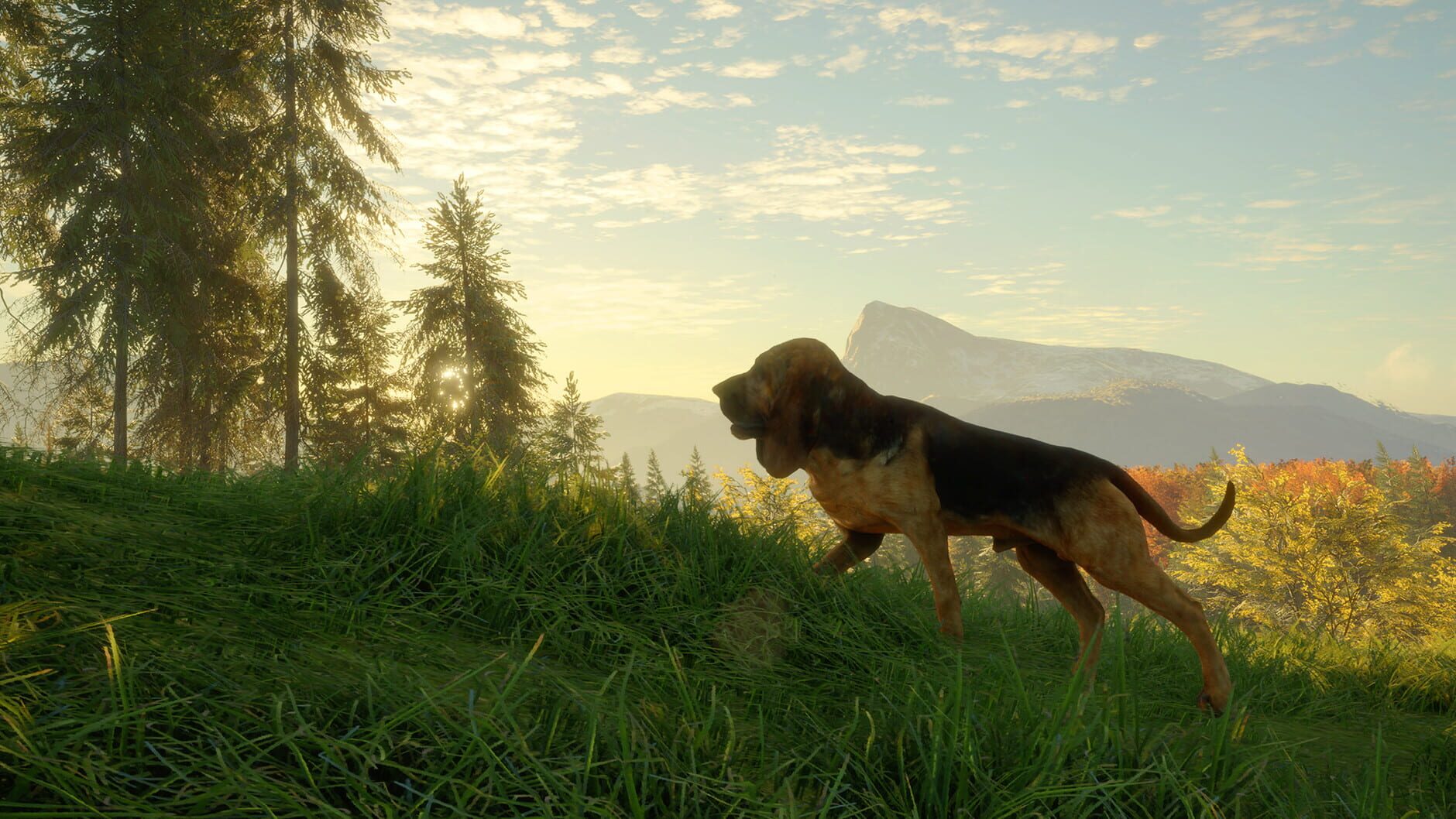 Screenshot for TheHunter: Call of the Wild - Bloodhound