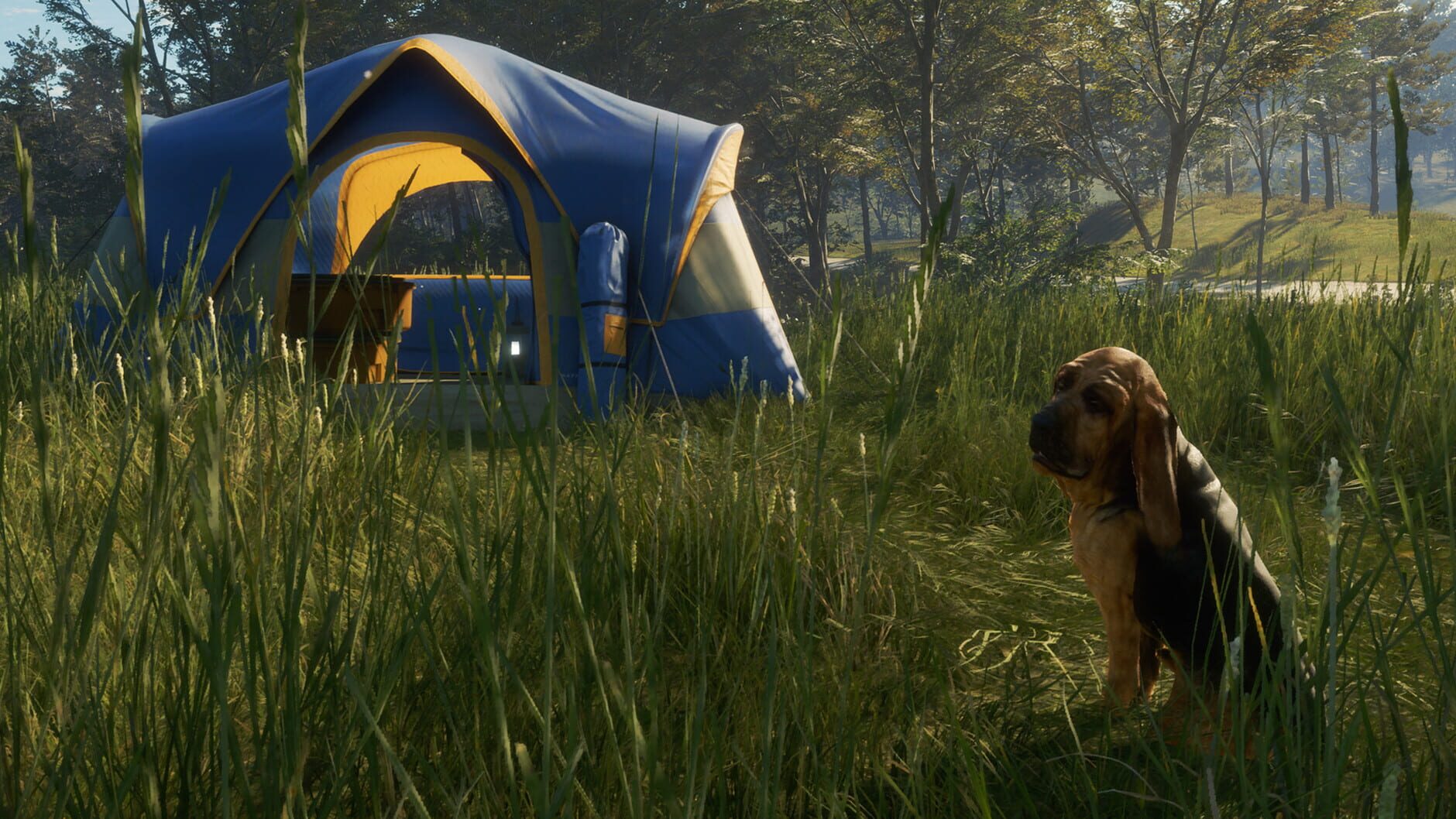 Screenshot for TheHunter: Call of the Wild - Bloodhound
