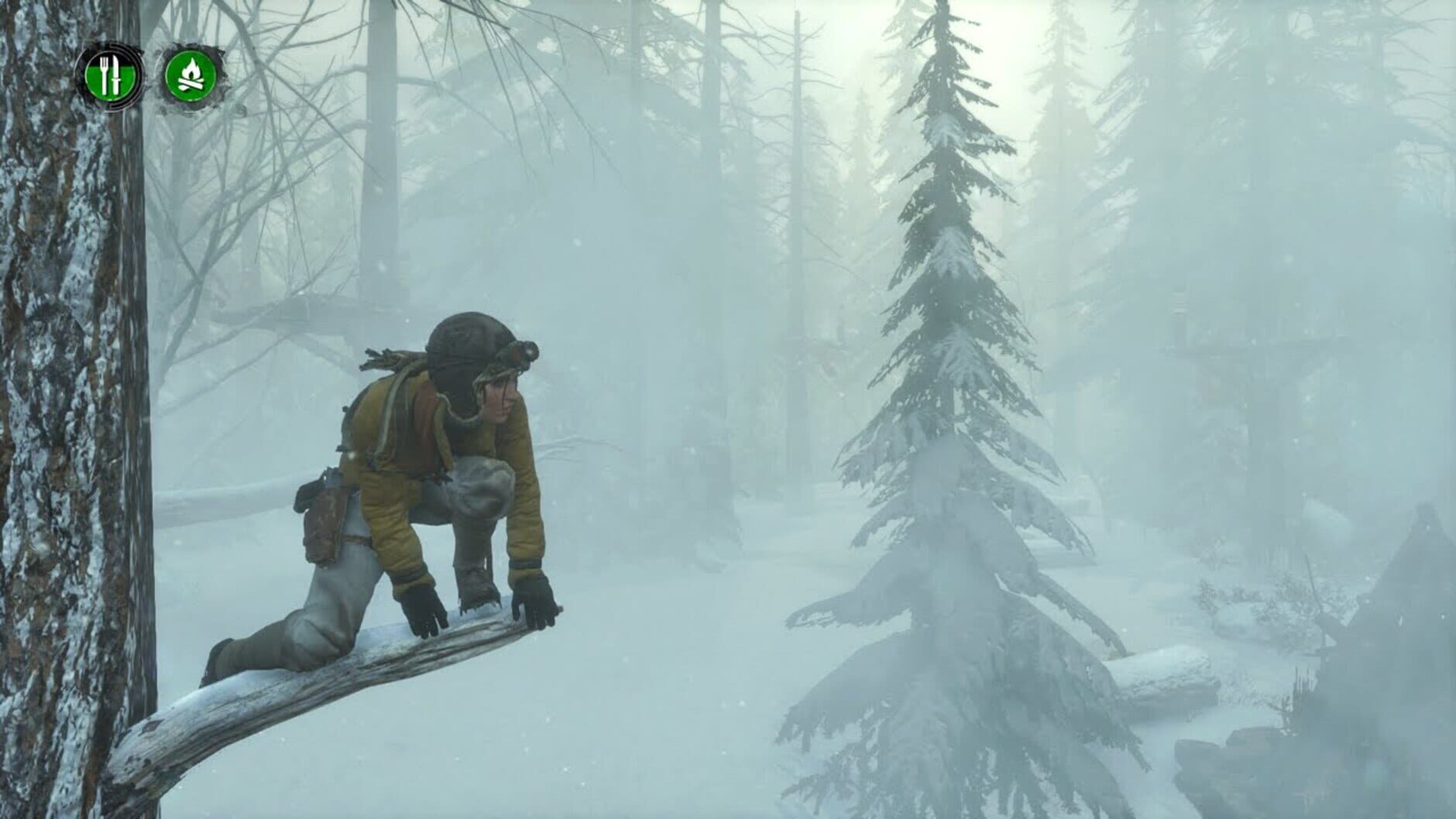 Screenshot for Rise of the Tomb Raider: Endurance Mode