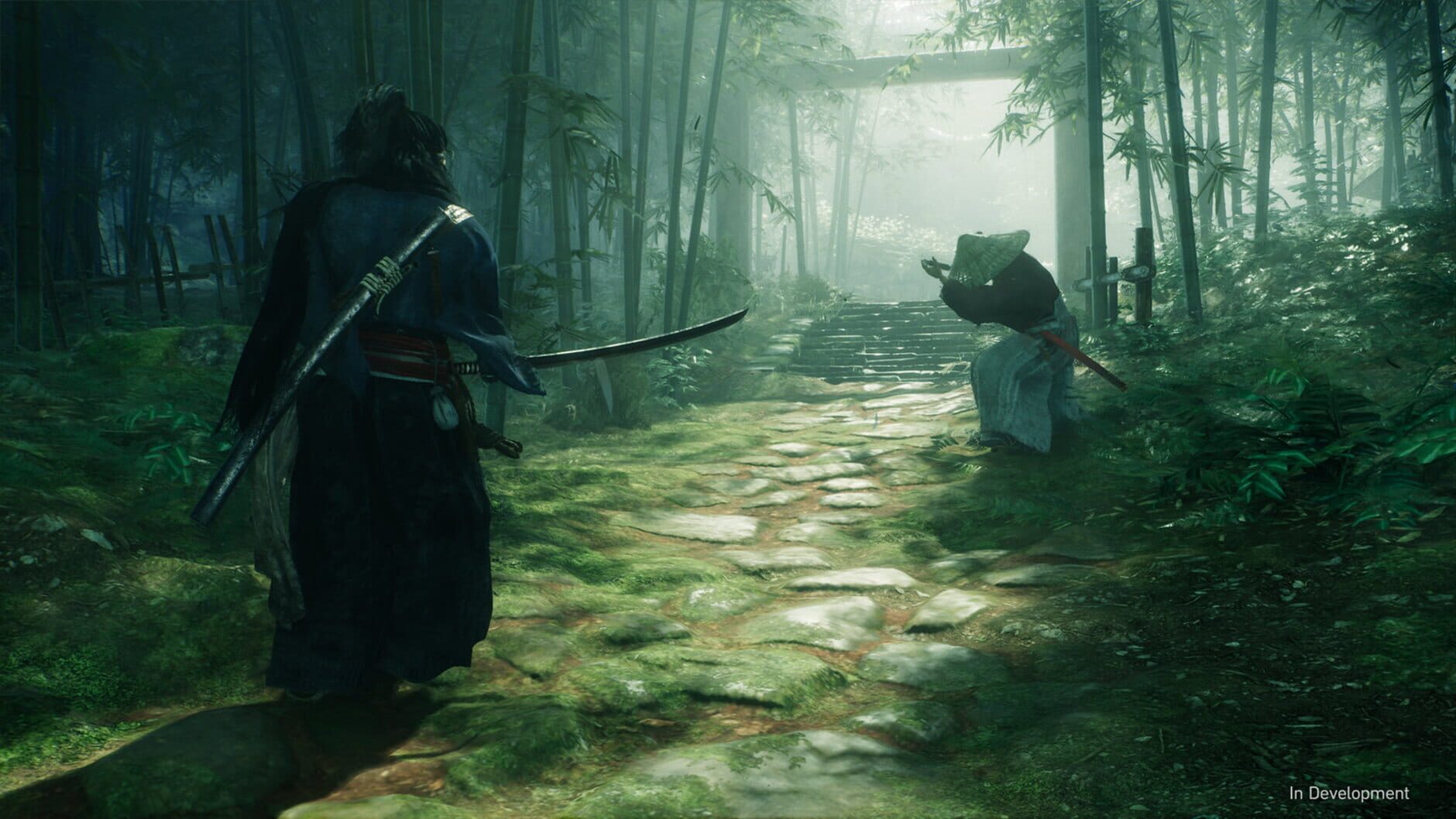 Screenshot for Rise of the Ronin
