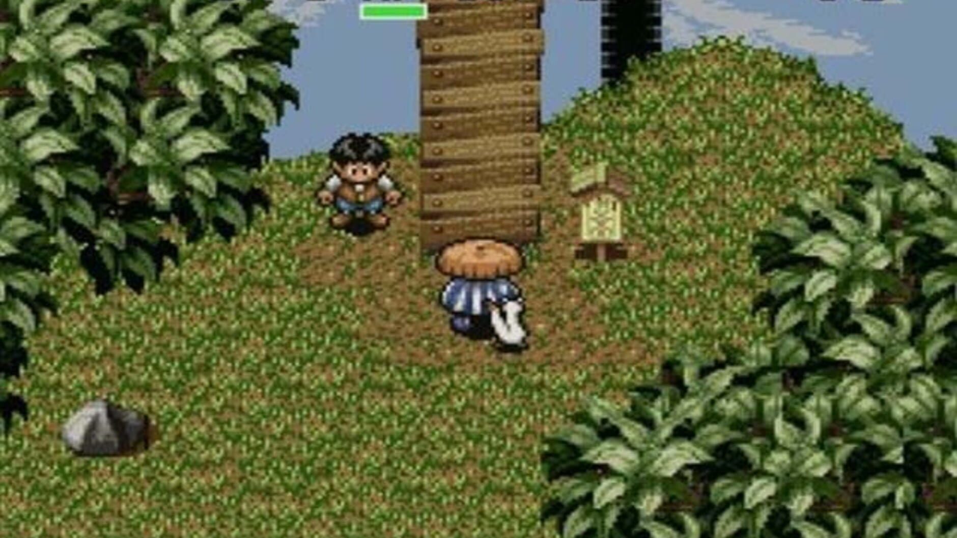 Screenshot for Fushigi no Dungeon 2: Fuurai no Shiren