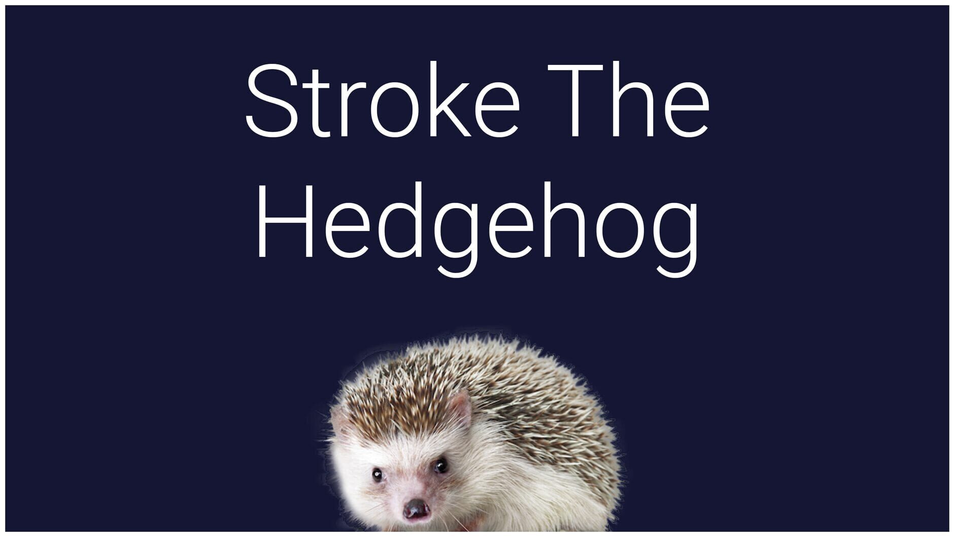 Screenshot for Stroke the Hedgehog