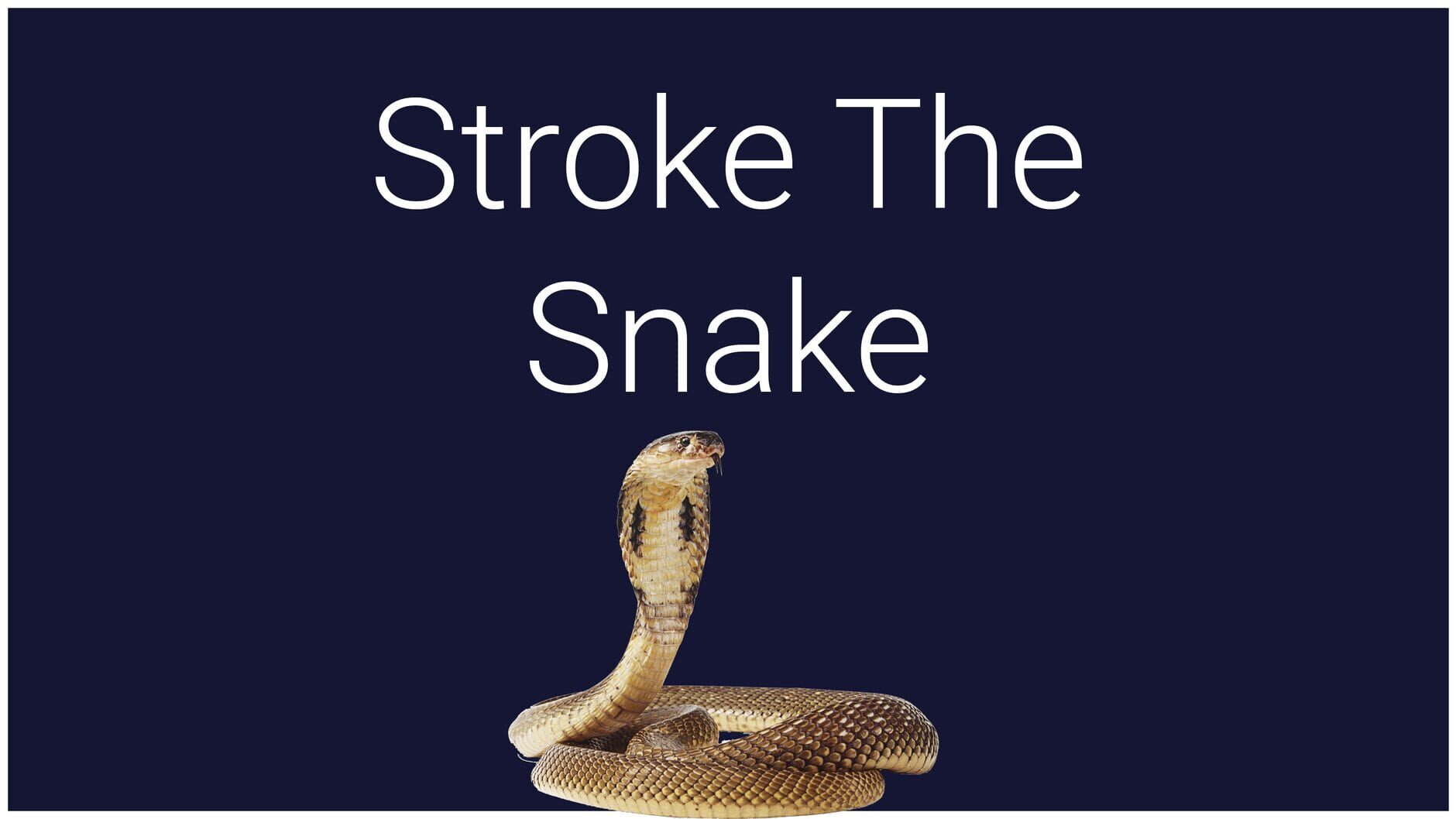 Screenshot for Stroke the Snake