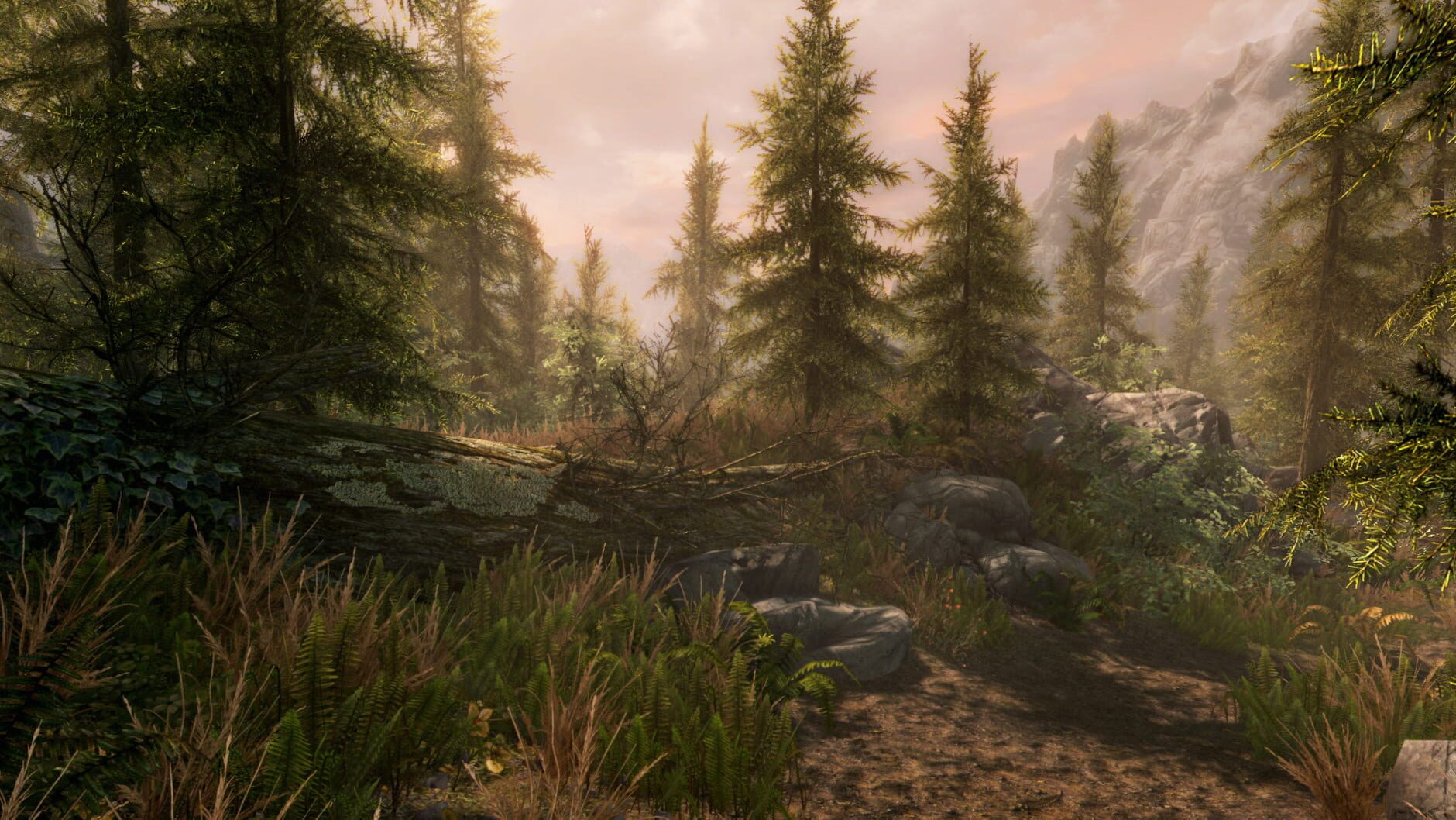 Screenshot for The Elder Scrolls V: Skyrim - Anniversary Edition