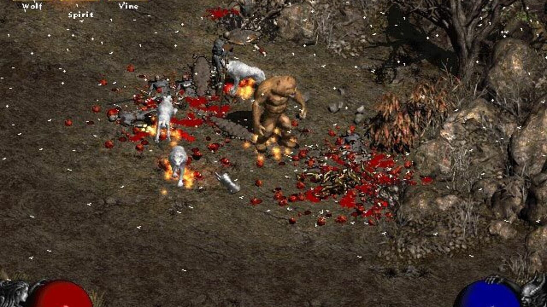 Screenshot for Diablo II