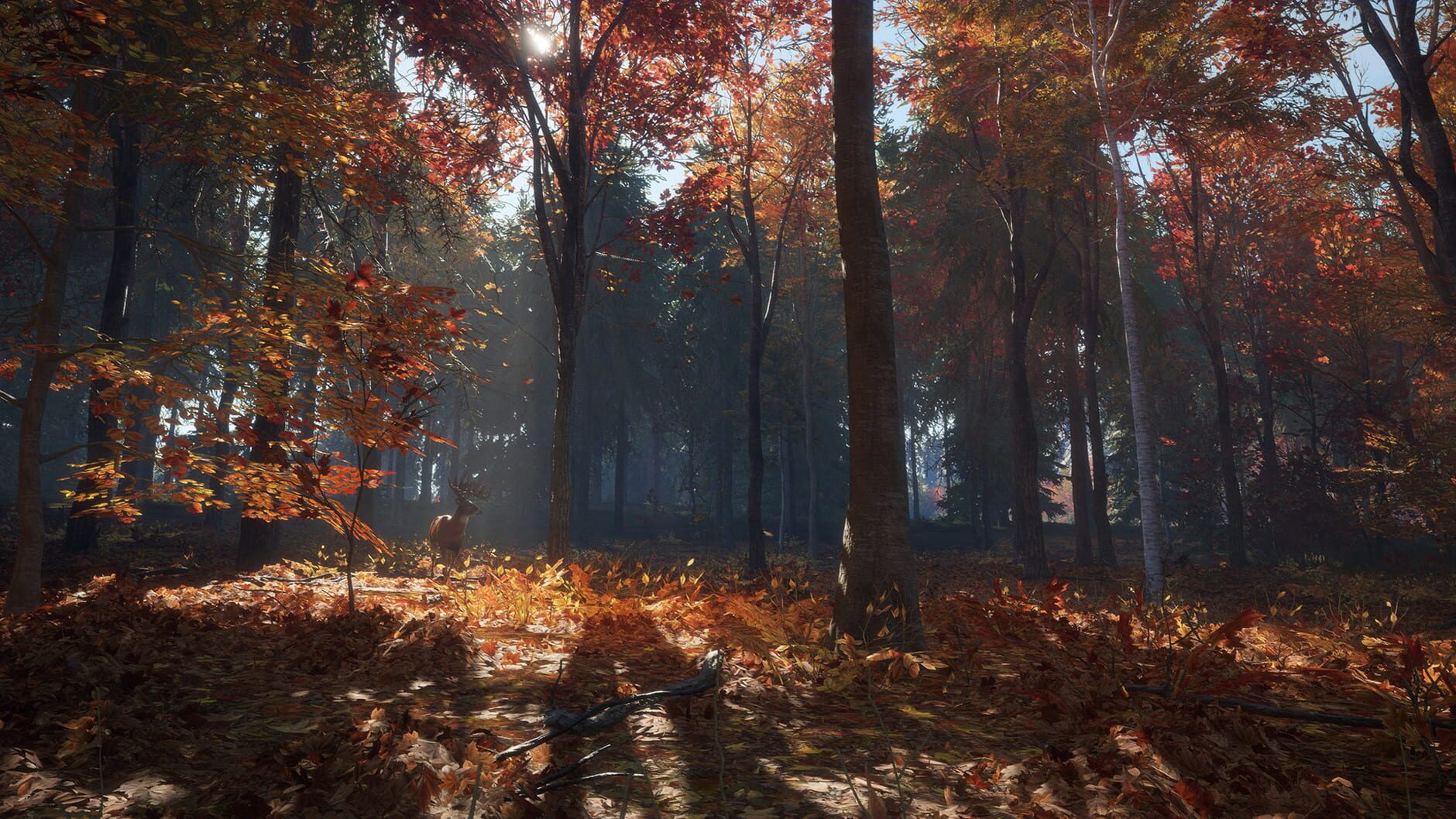 Screenshot for TheHunter: Call of the Wild - New England Mountains