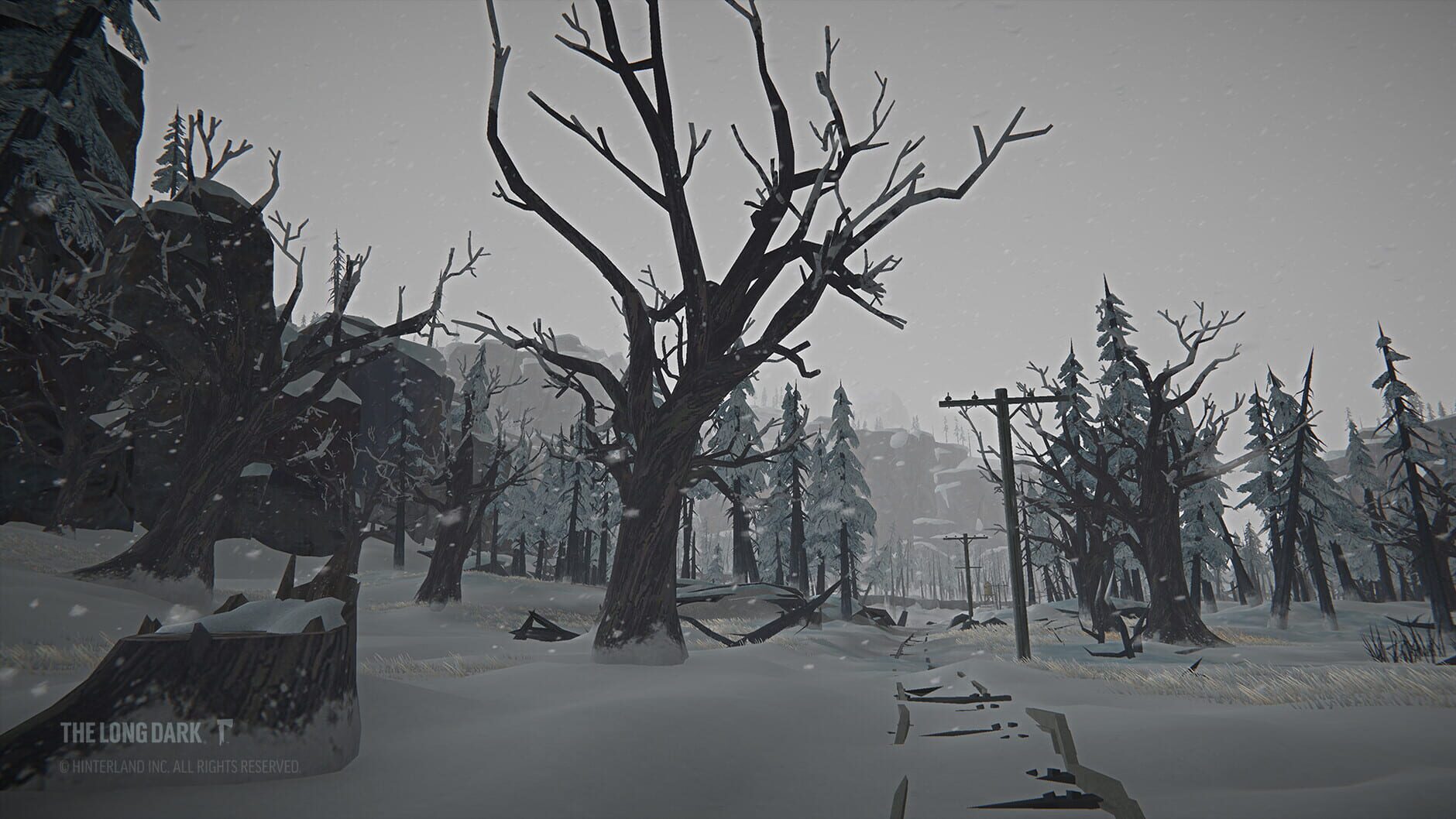 Screenshot for The Long Dark: Tales from the Far Territory