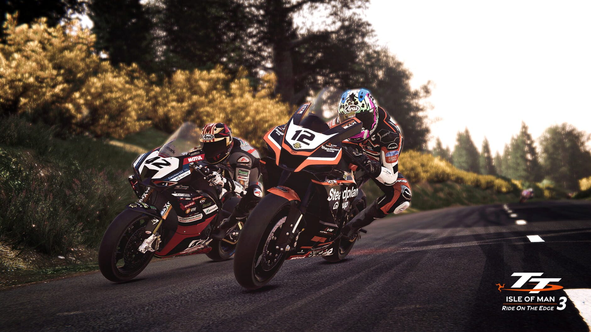Screenshot for TT Isle of Man: Ride on the Edge 3