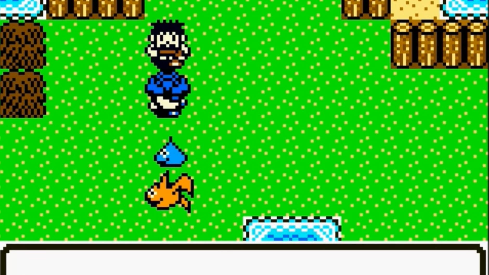 Screenshot for Dragon Warrior Monsters 2: Cobi's Journey
