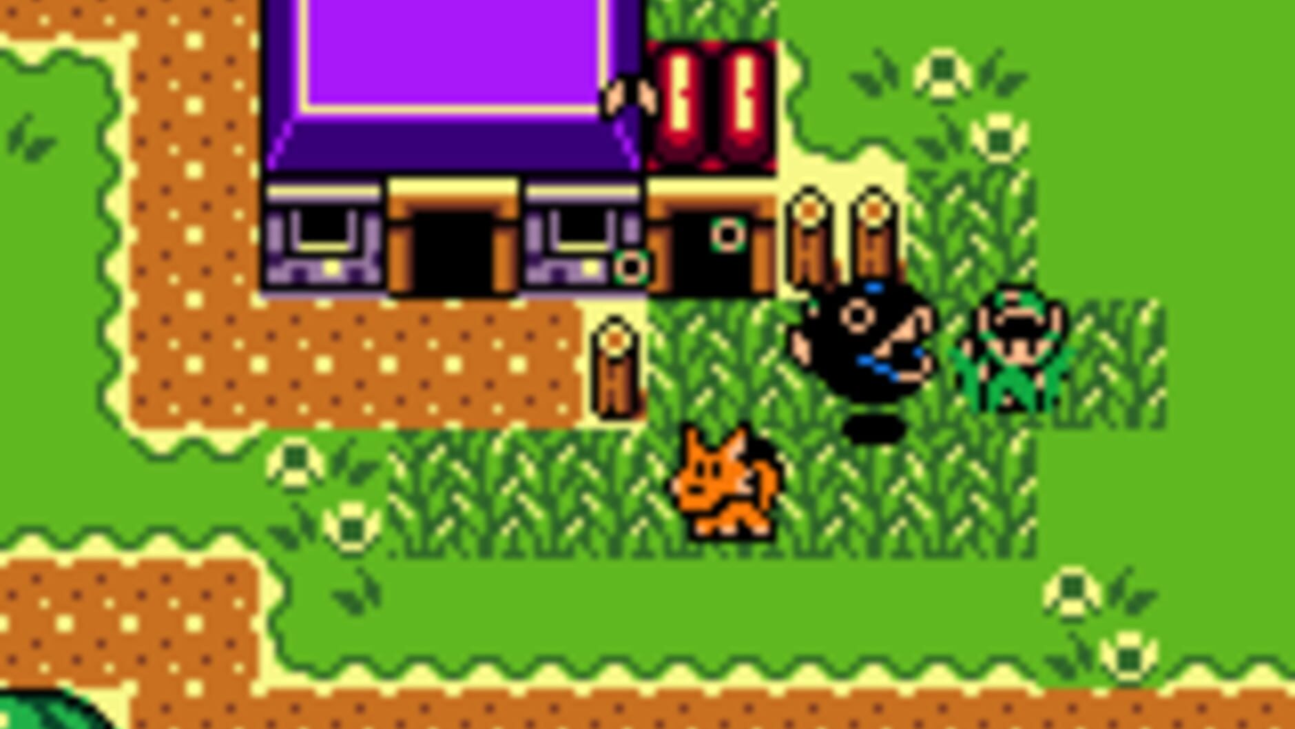 Screenshot for The Legend of Zelda: Link's Awakening DX
