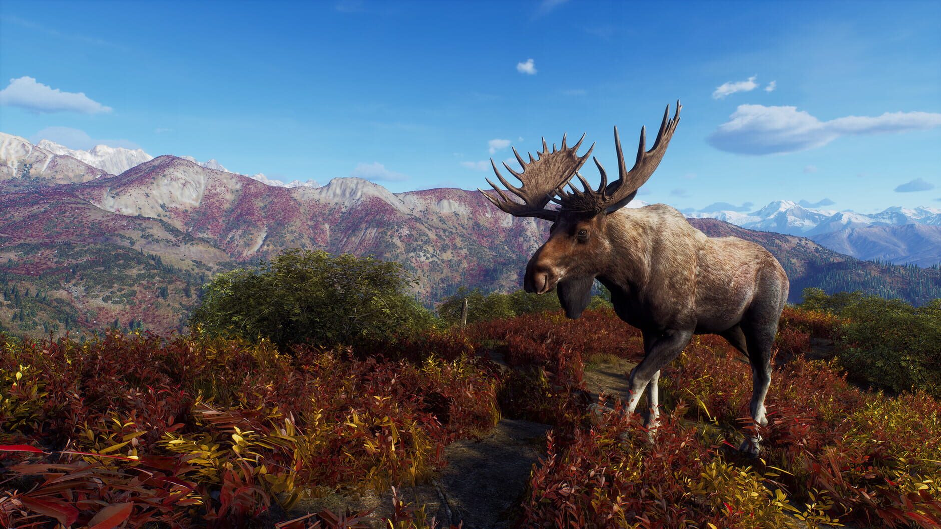 Screenshot for Way of the Hunter: Aurora Shores