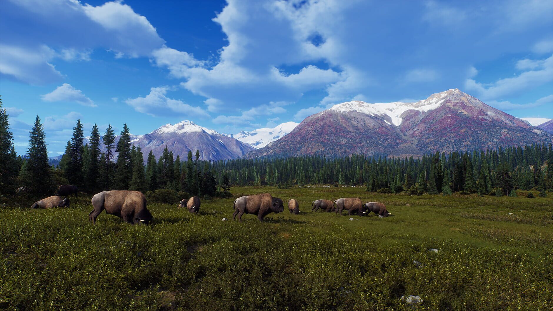 Screenshot for Way of the Hunter: Aurora Shores