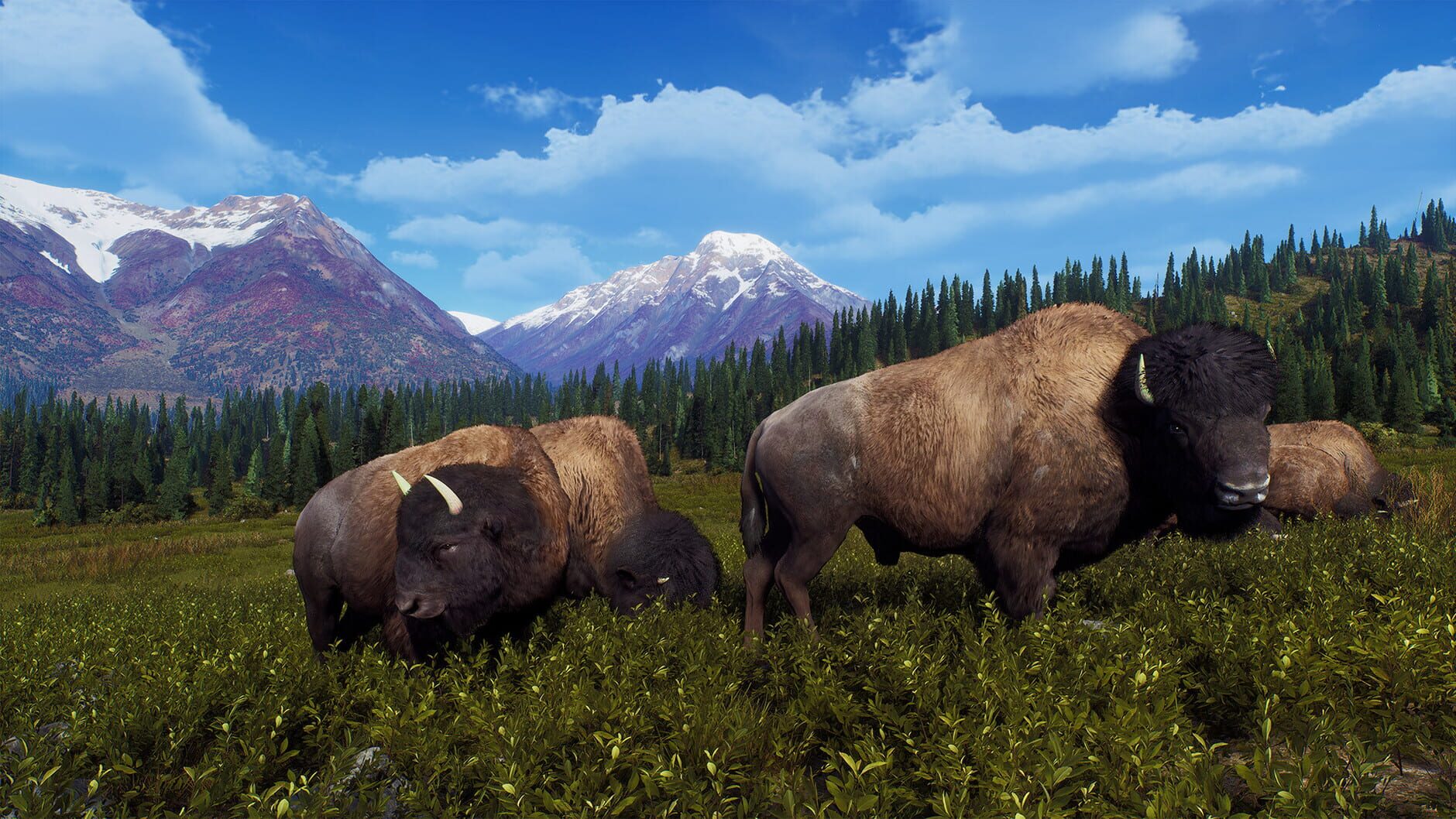 Screenshot for Way of the Hunter: Aurora Shores