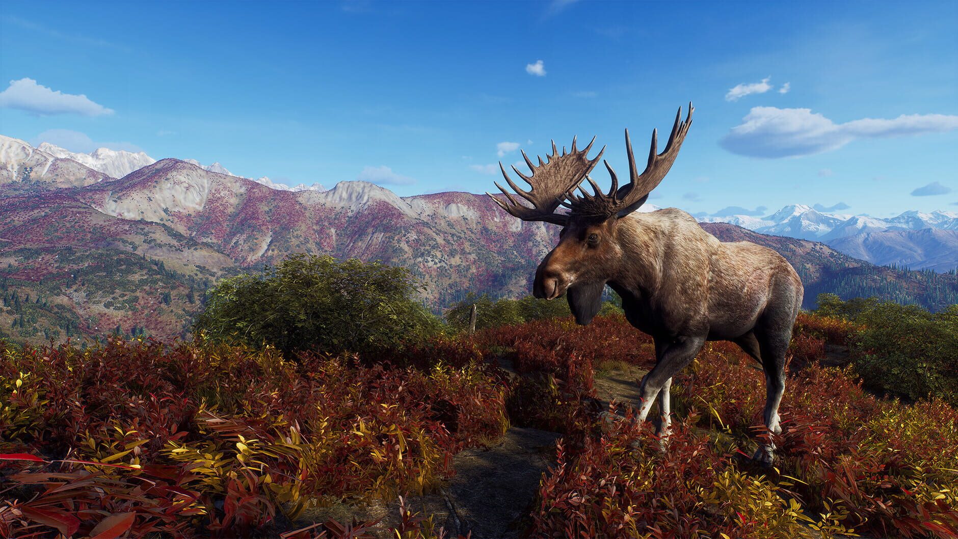 Screenshot for Way of the Hunter: Aurora Shores
