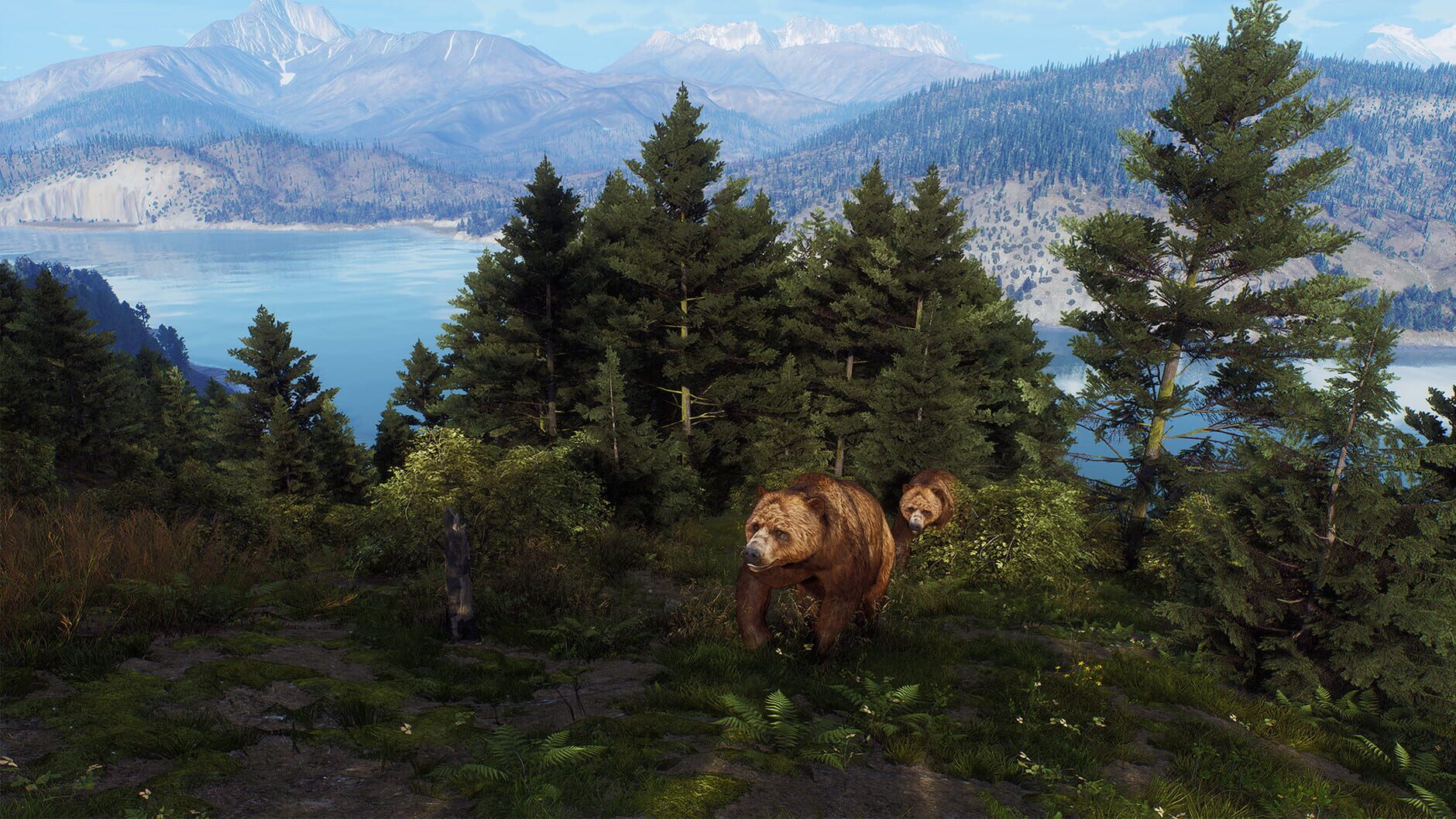 Screenshot for Way of the Hunter: Aurora Shores