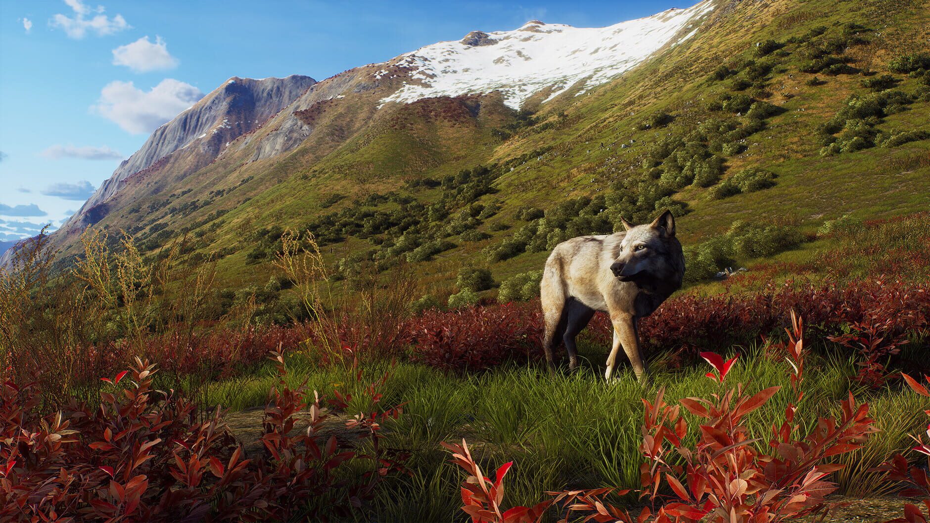 Screenshot for Way of the Hunter: Aurora Shores