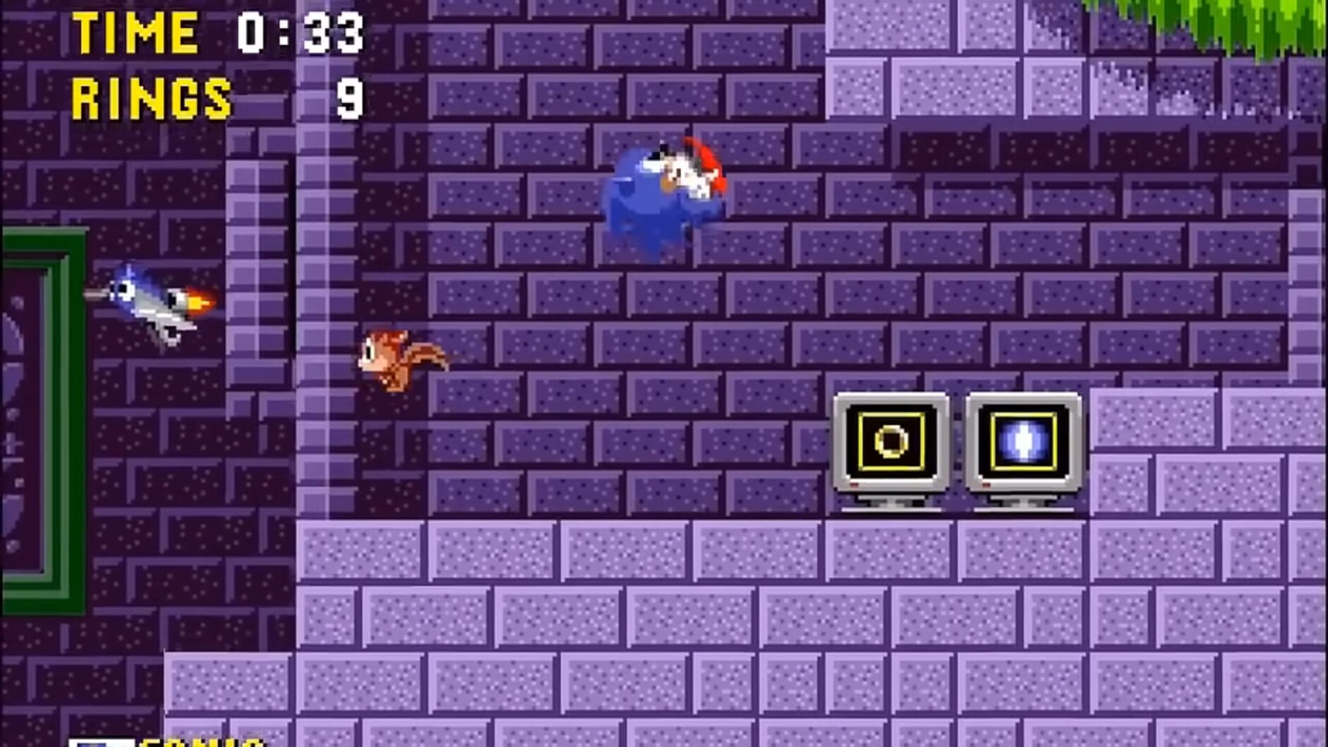 Screenshot for Sonic the Hedgehog