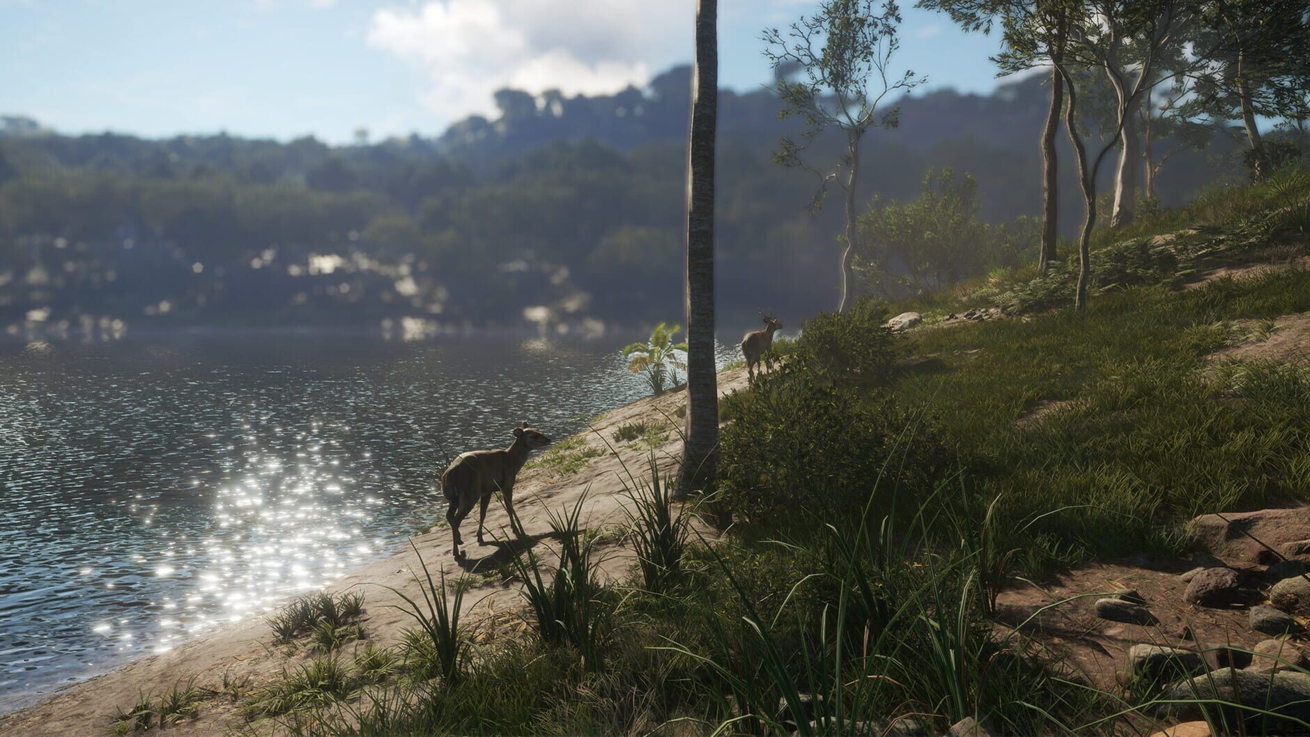 Screenshot for theHunter: Call of the Wild - Emerald Coast Australia