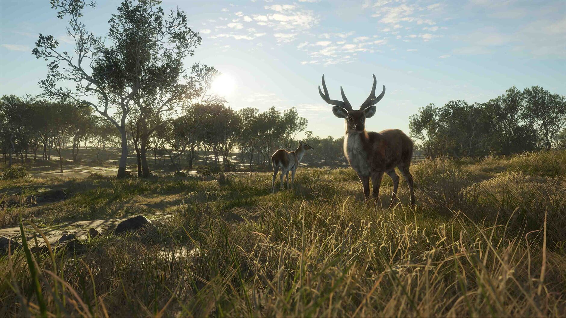 Screenshot for theHunter: Call of the Wild - Emerald Coast Australia