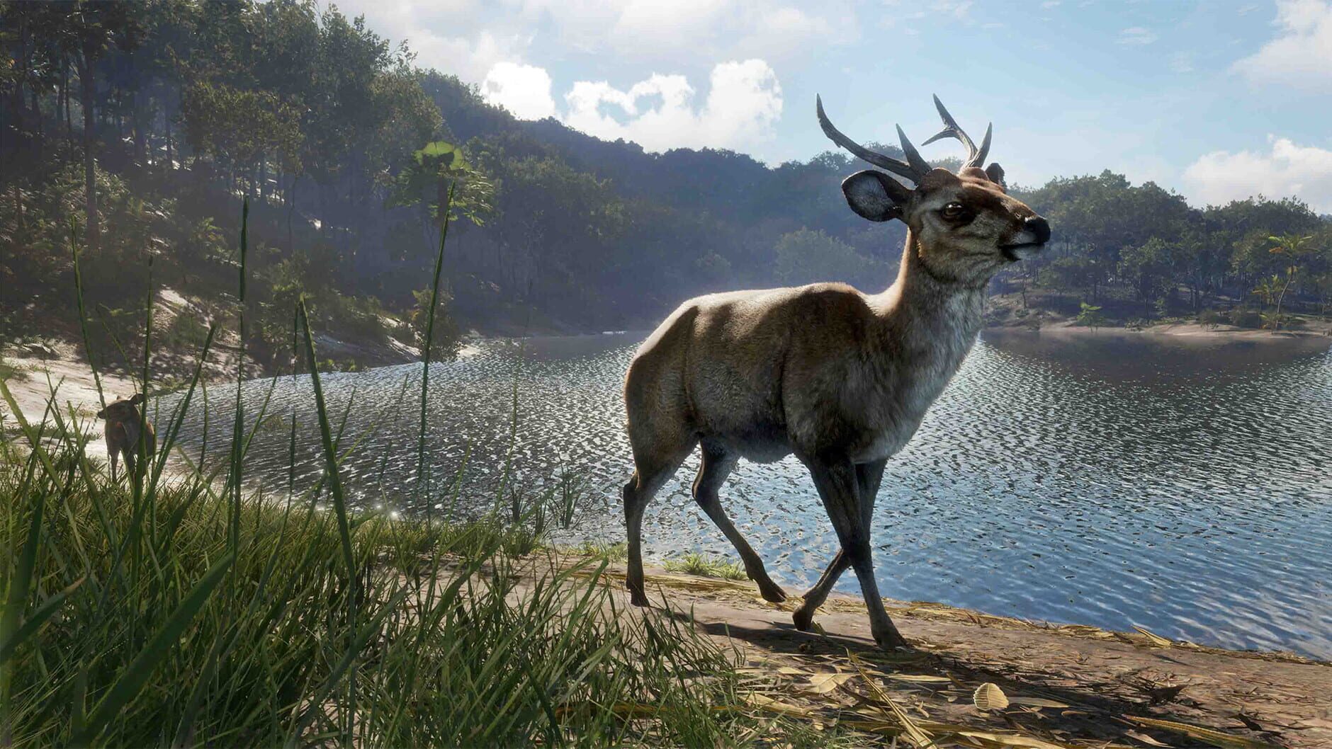 Screenshot for theHunter: Call of the Wild - Emerald Coast Australia