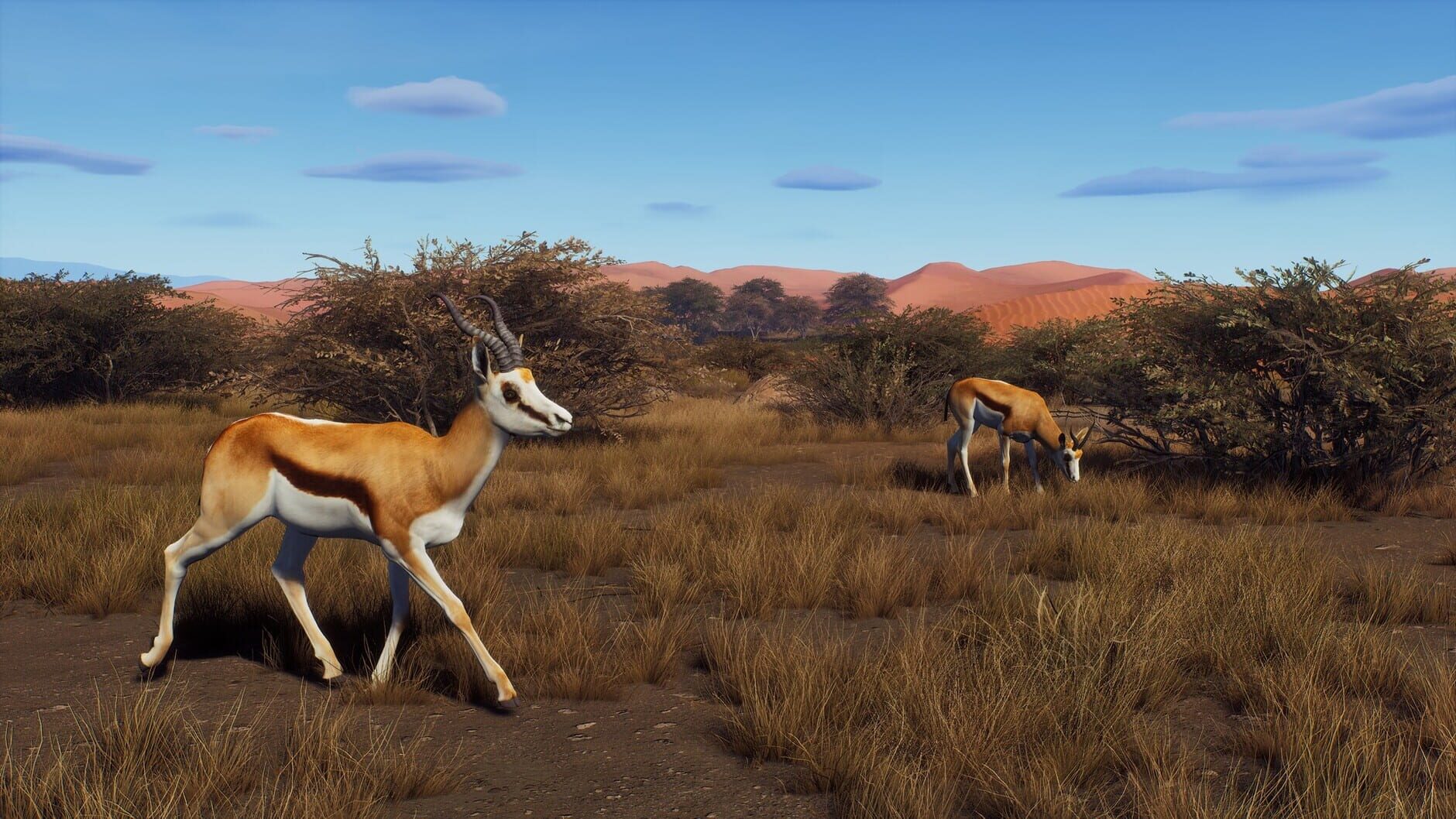 Screenshot for Way of the Hunter: Tikamoon Plains