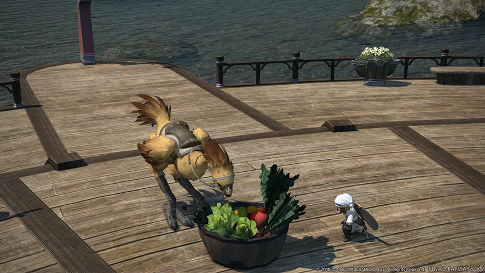 Screenshot for Final Fantasy XIV: Defenders of Eorzea