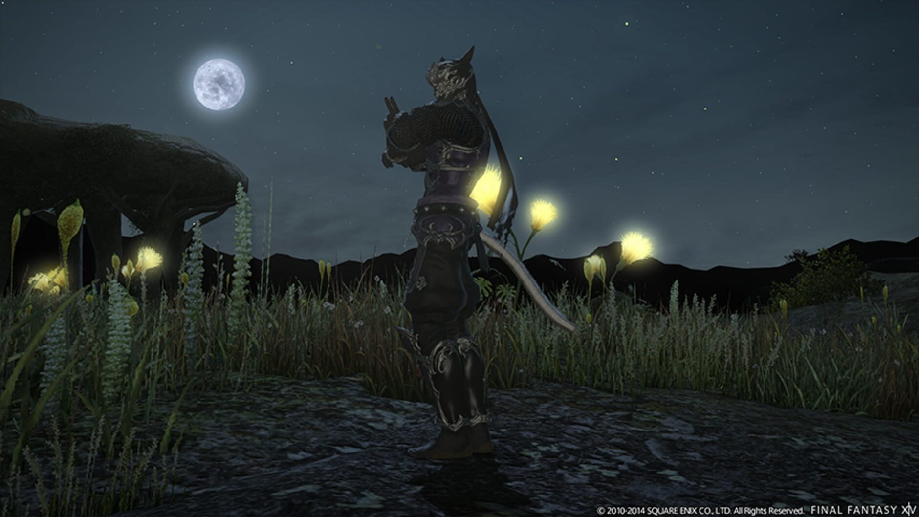 Screenshot for Final Fantasy XIV: Dreams of Ice