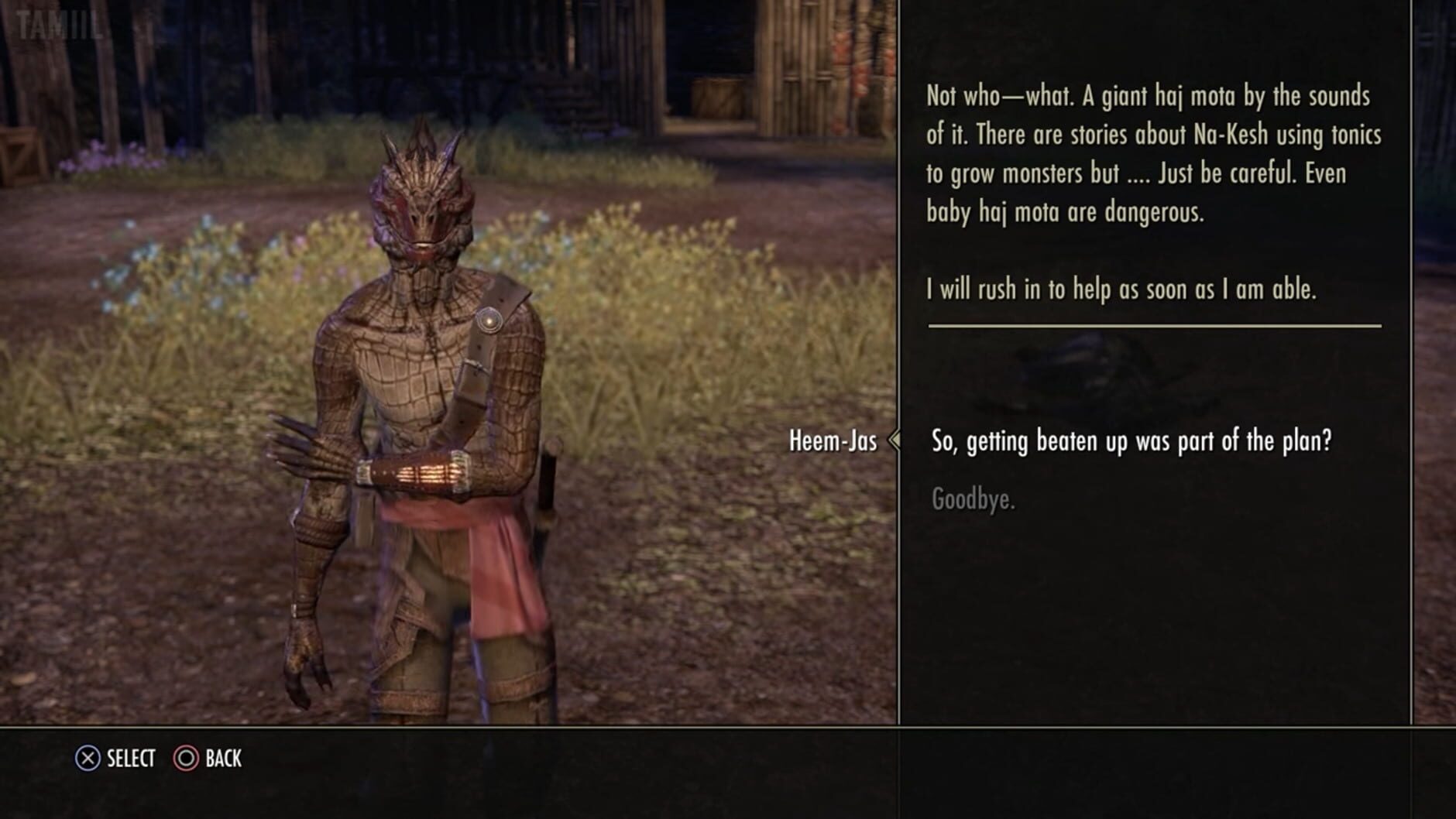 Screenshot for The Elder Scrolls Online: Shadows of the Hist
