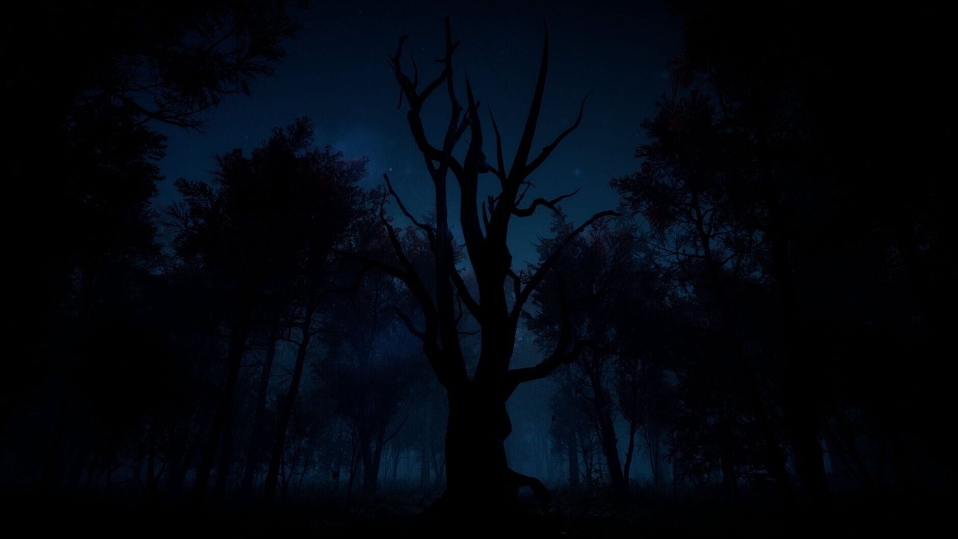 Screenshot for Slender: The Arrival