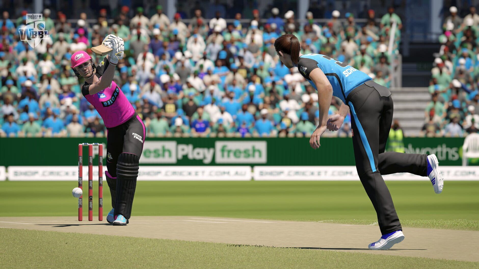 Screenshot for Cricket 24