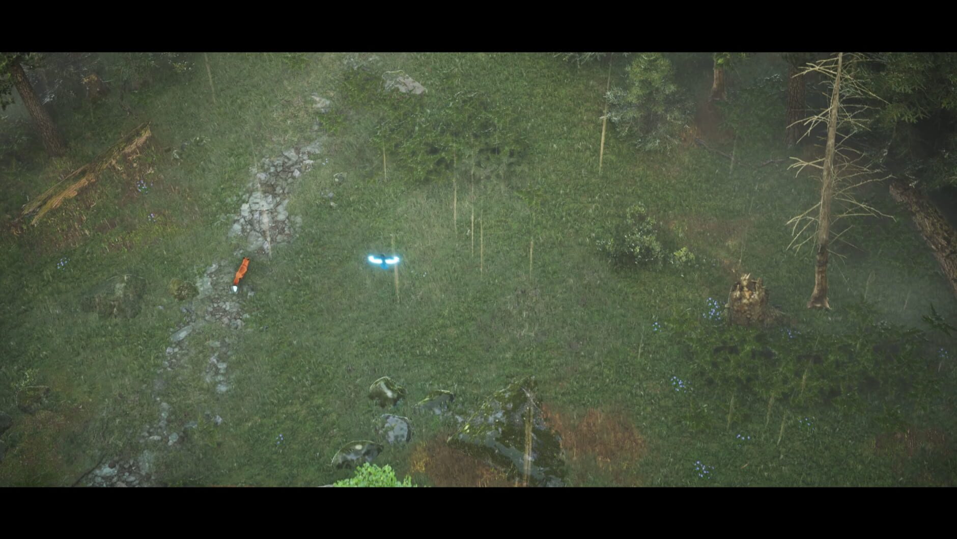 Screenshot for Spirit of the North 2