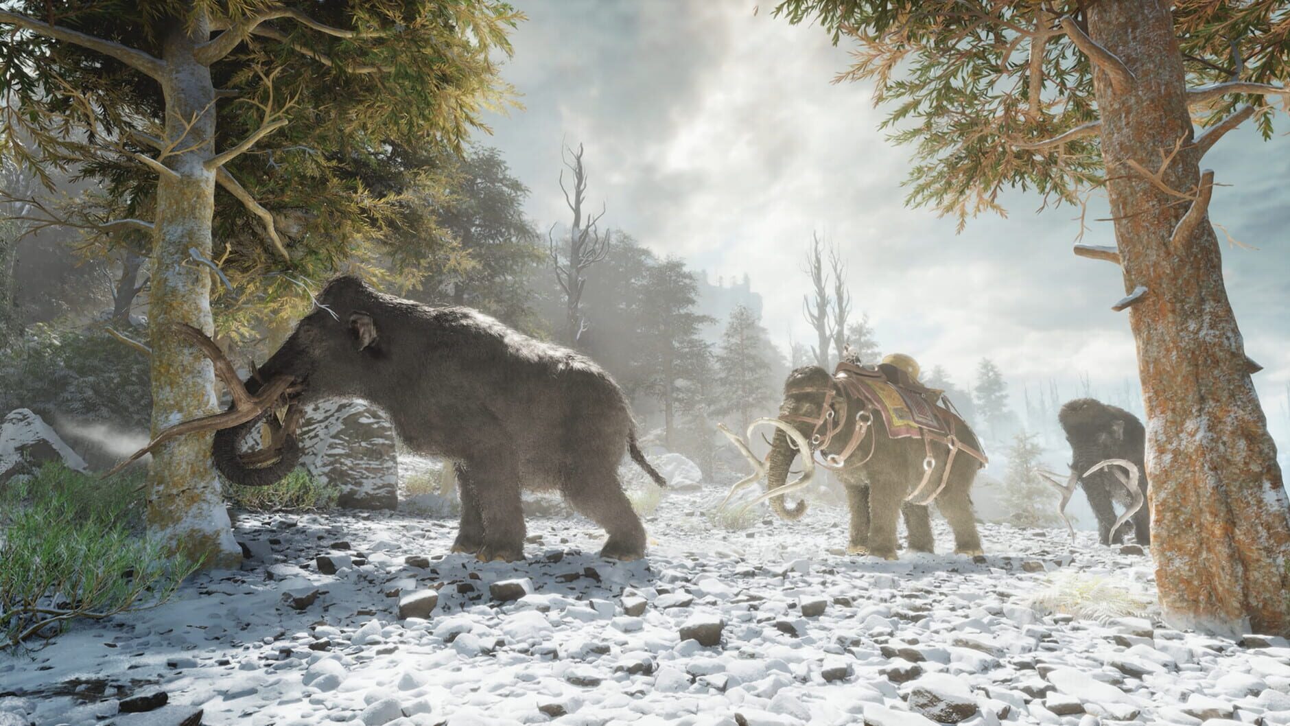 Screenshot for Ark: Survival Ascended