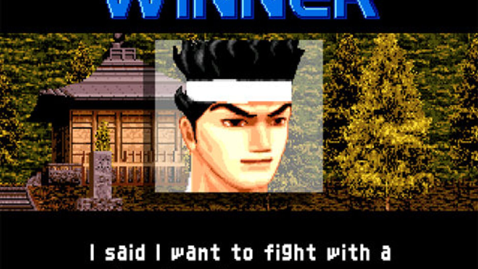 Screenshot for Virtua Fighter 2